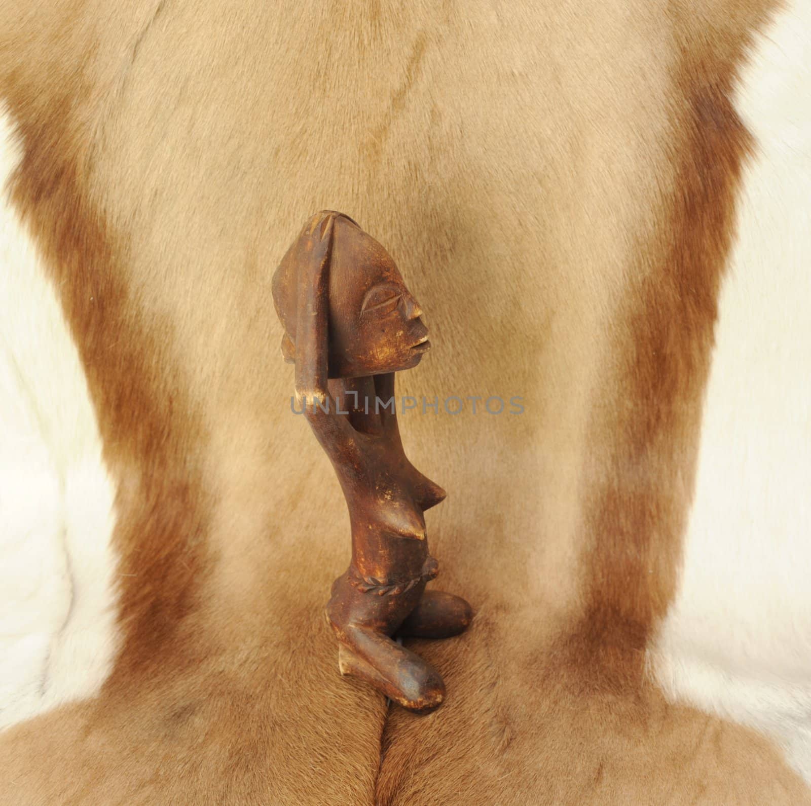 Lovely Naked African Wooden Figure on 
Natural Animal Fur.