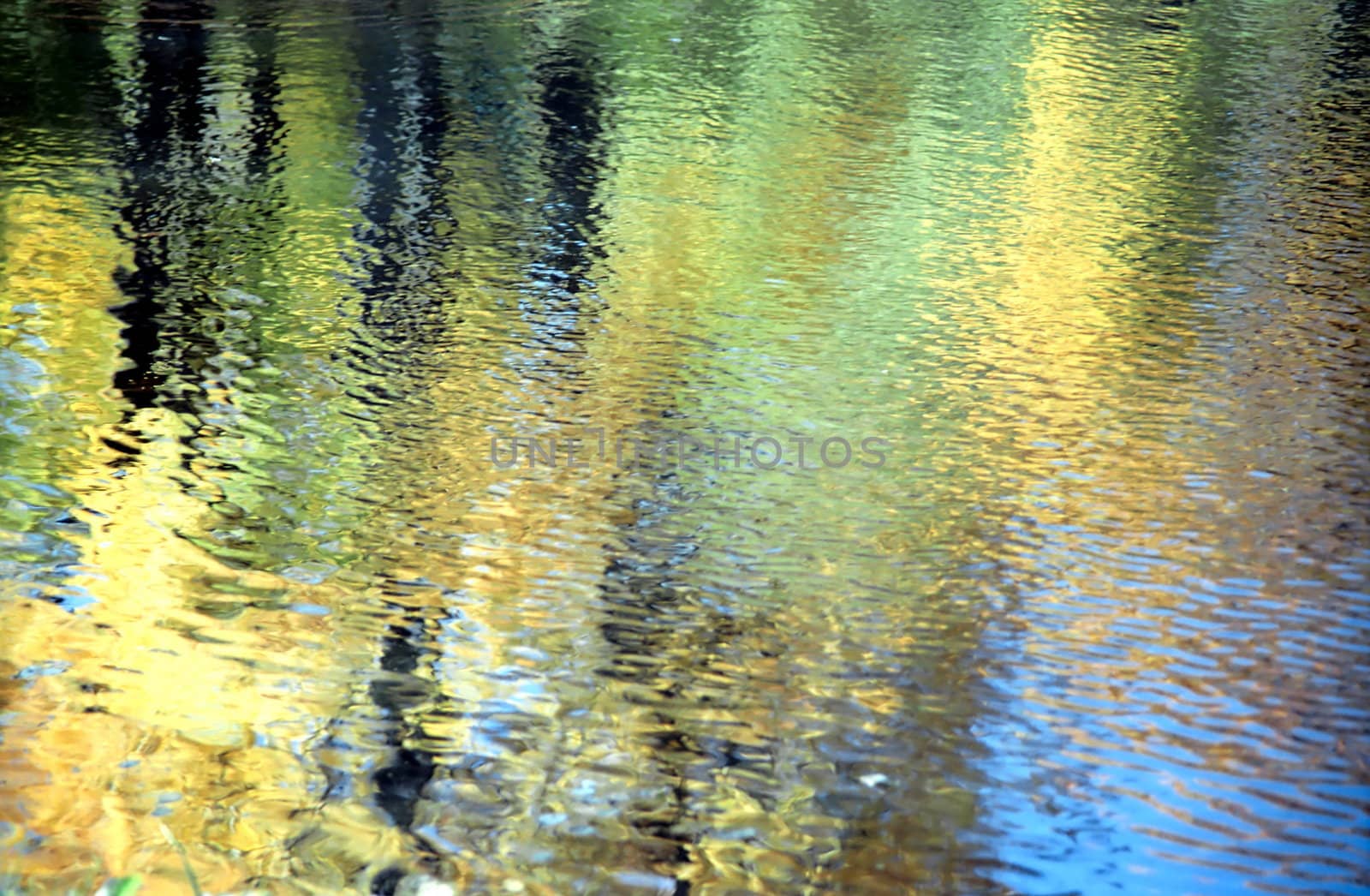 Autumn reflection of trees as background