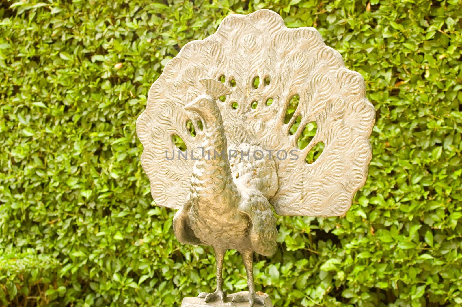 Bronze Bird Against Green Bushes