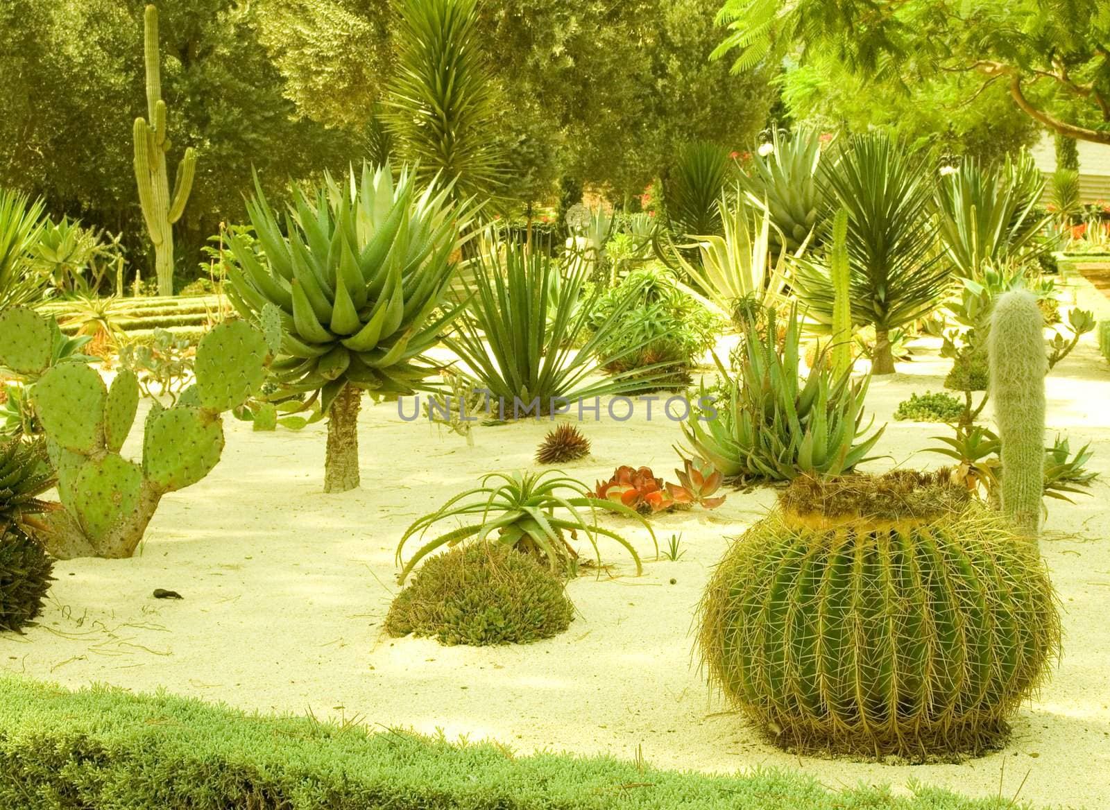Botanical Garden.