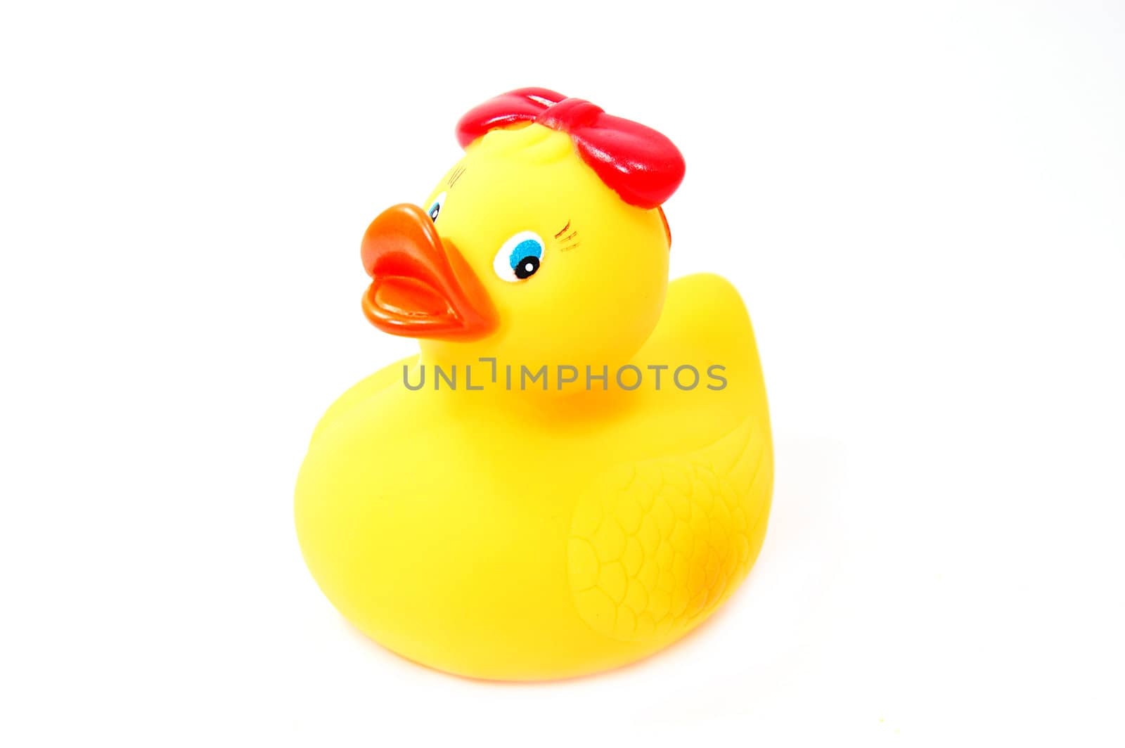 Rubber yellow duck isolated on white