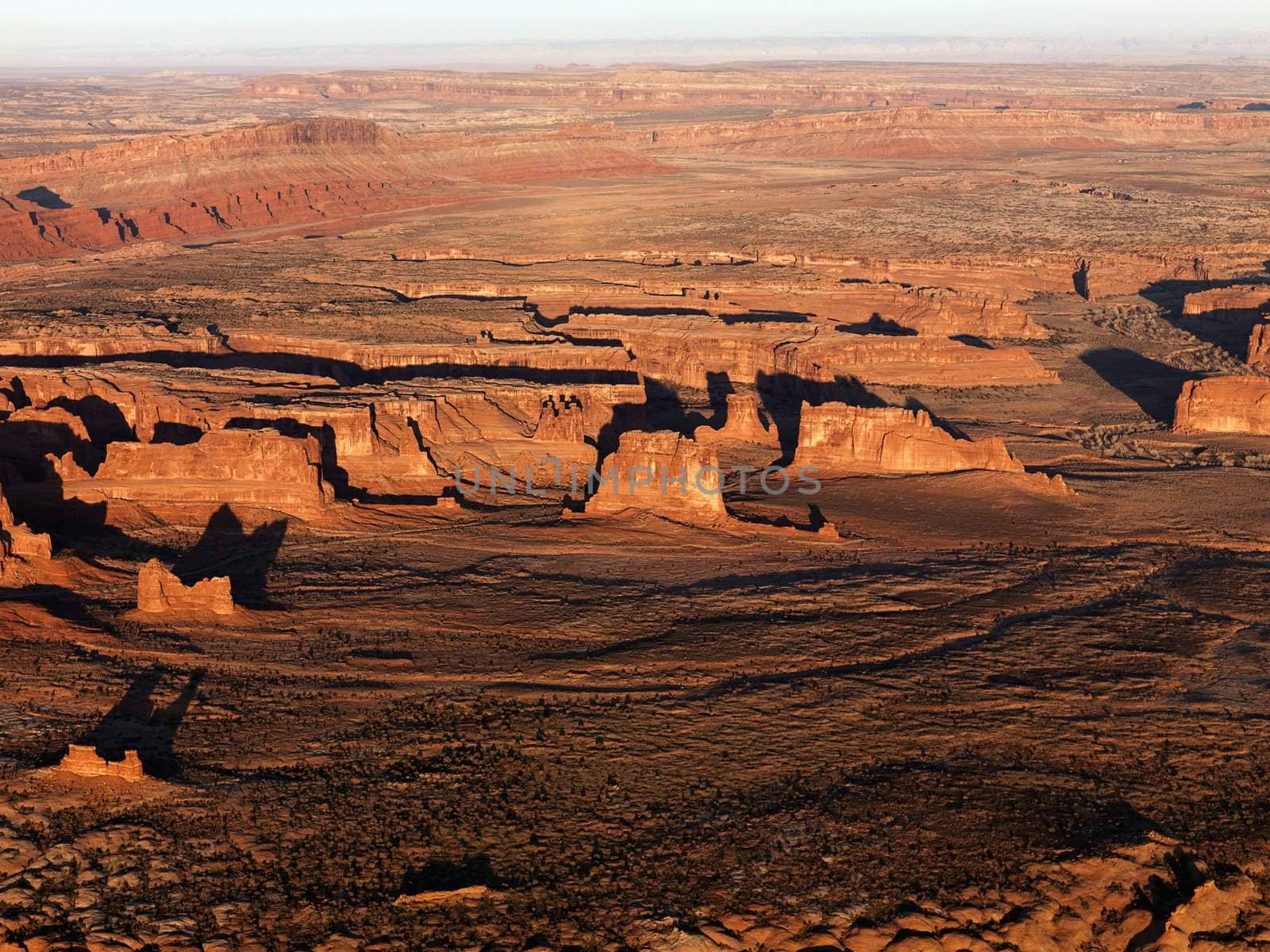 Aerial landscape of rock formations in Canyonlands National Park, Utah, United States.