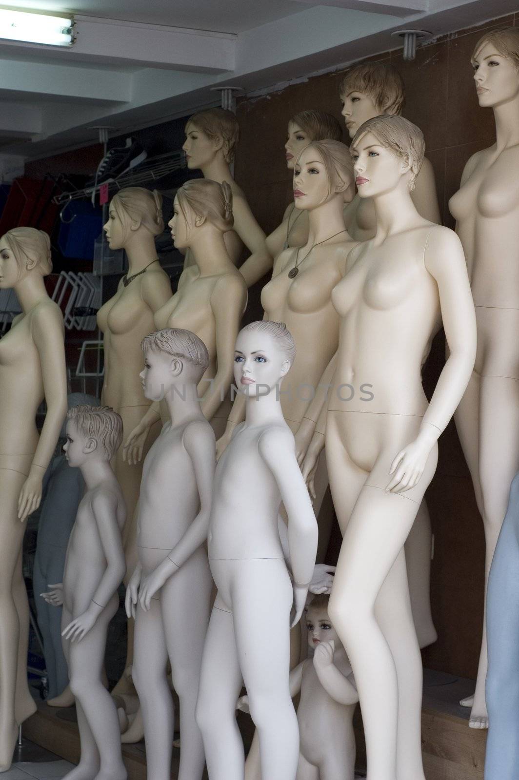 Different Type Of Naked Mannequins.