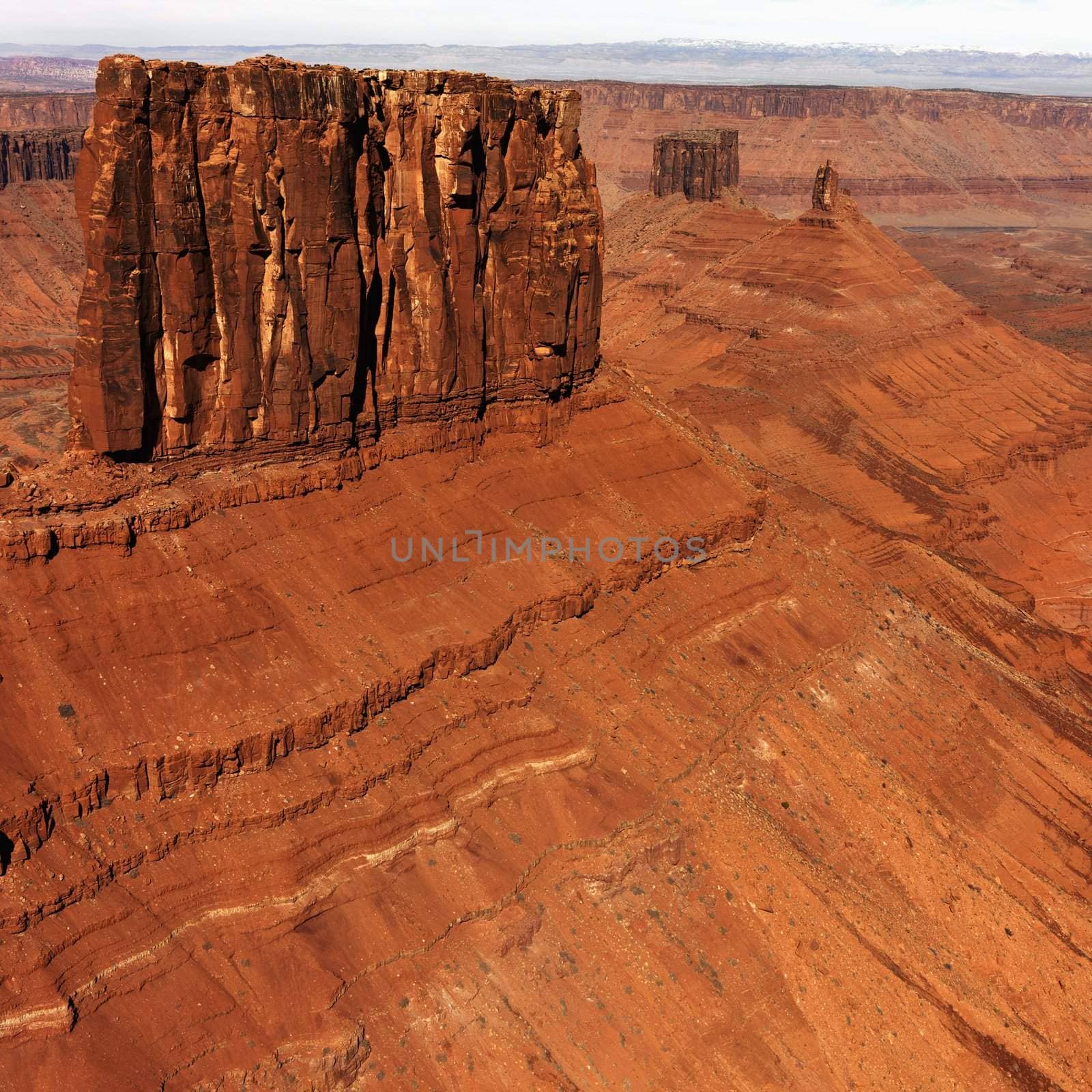 Aerial landscape of mesas in Canyonlands National Park, Moab, Utah, United States.