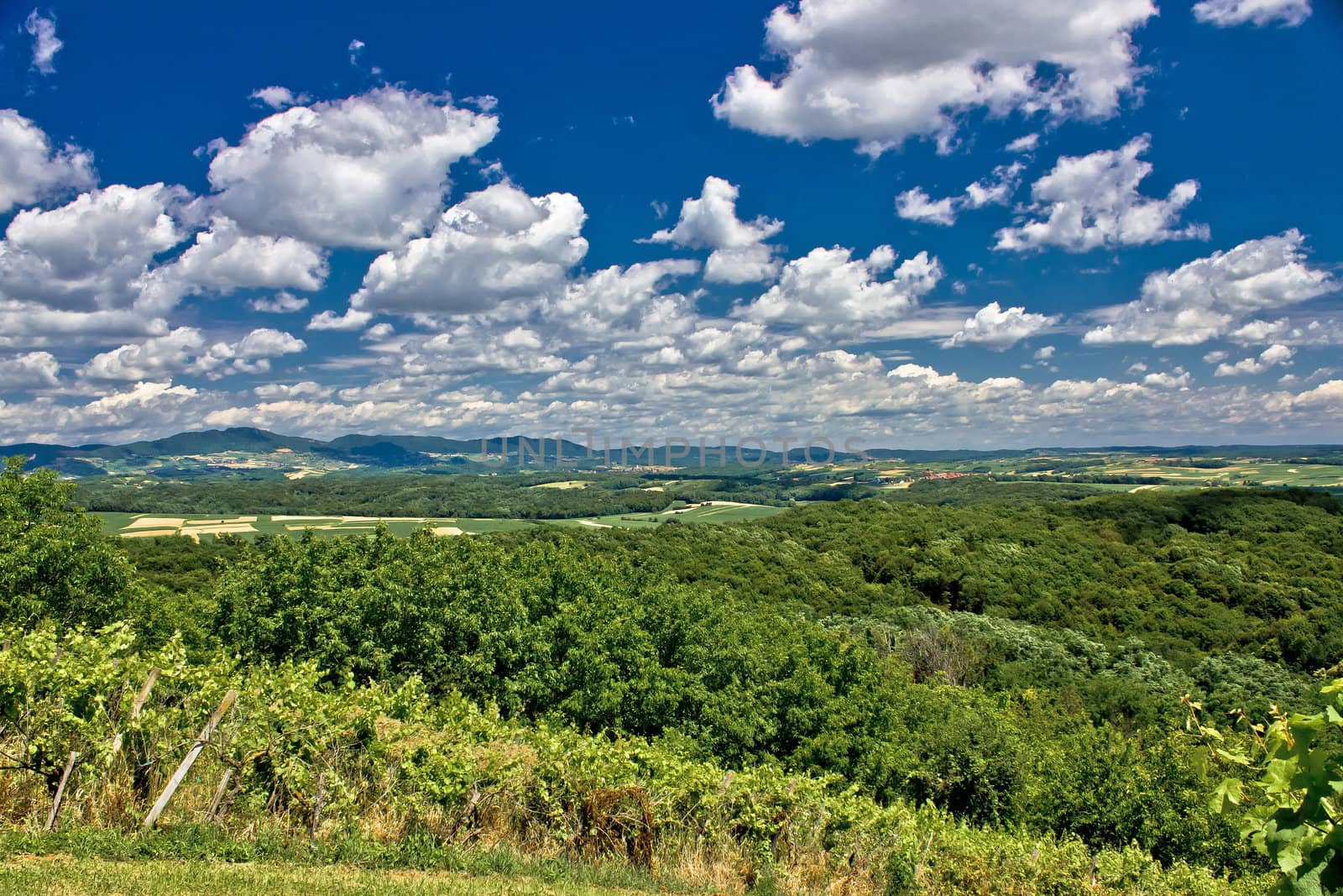 Beautiful green scenery landscape in spring time under blue cloudy sky, Prigorje, Croatia