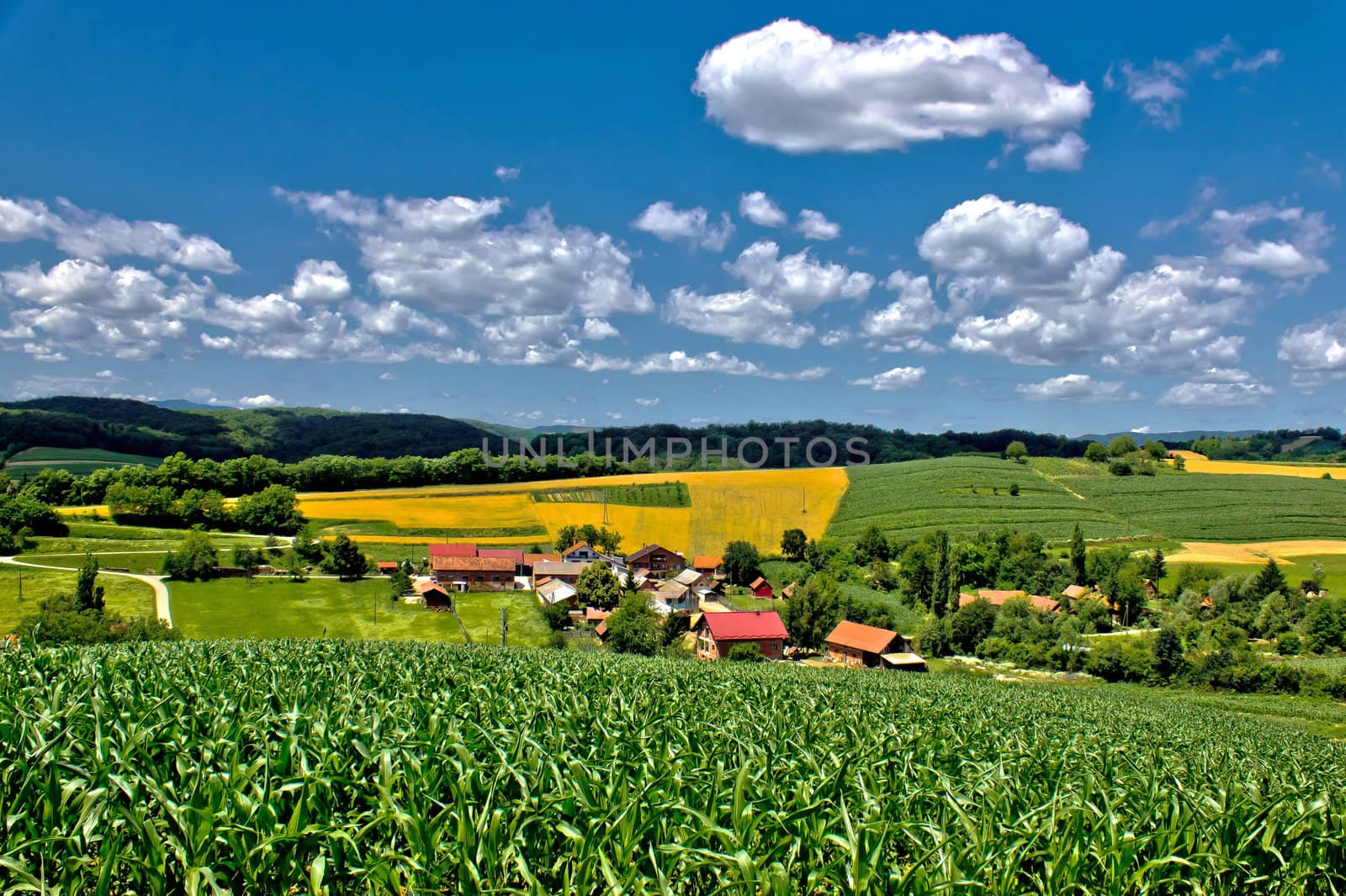 Beautiful green village scenery landscape in spring time, Zaistovec, Croatia