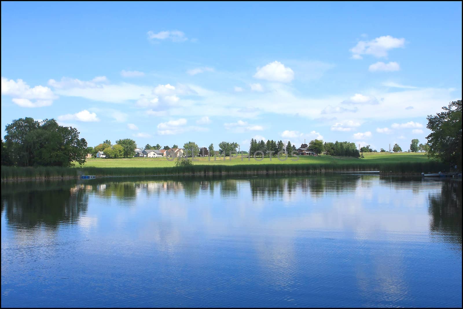 Country Pond View From Shore In Morning Sun