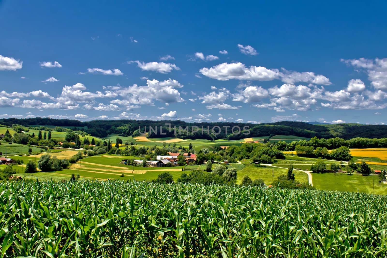 Beautiful green village scenery landscape in spring time, Zaistovec, Croatia