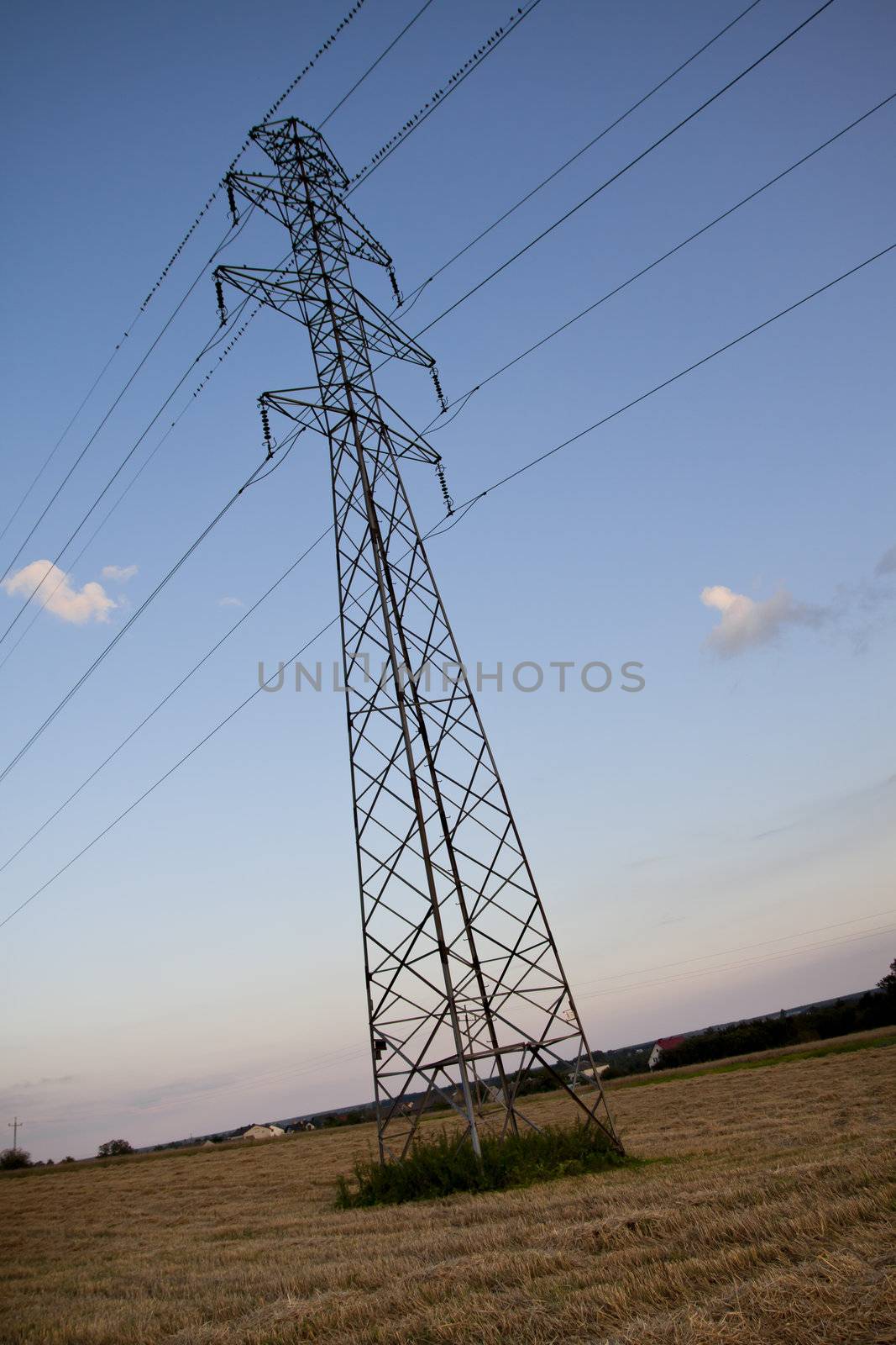 landscape with high tension wires over sky