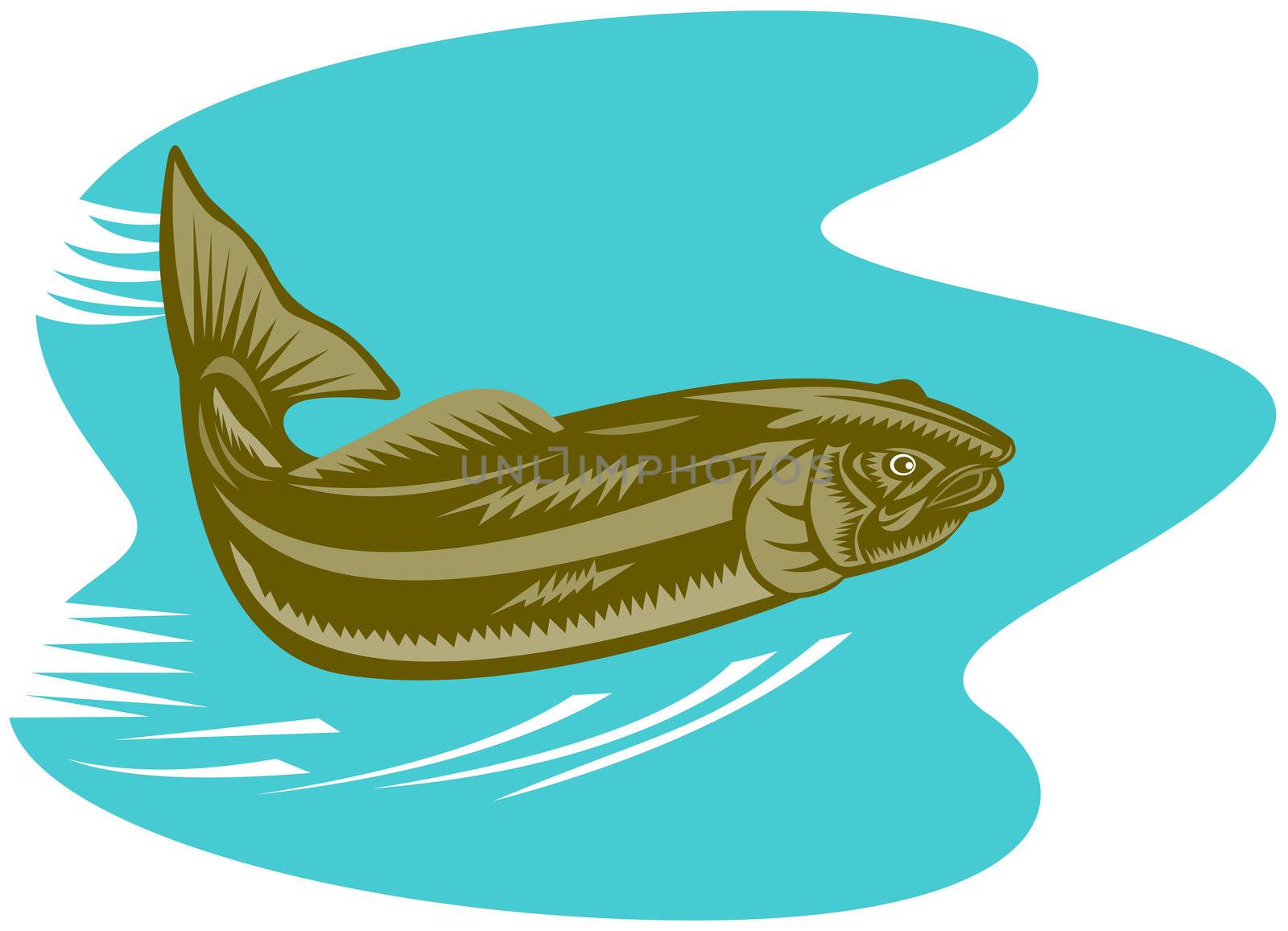 illustration of a trout fish jumping done in retro style on isolated background