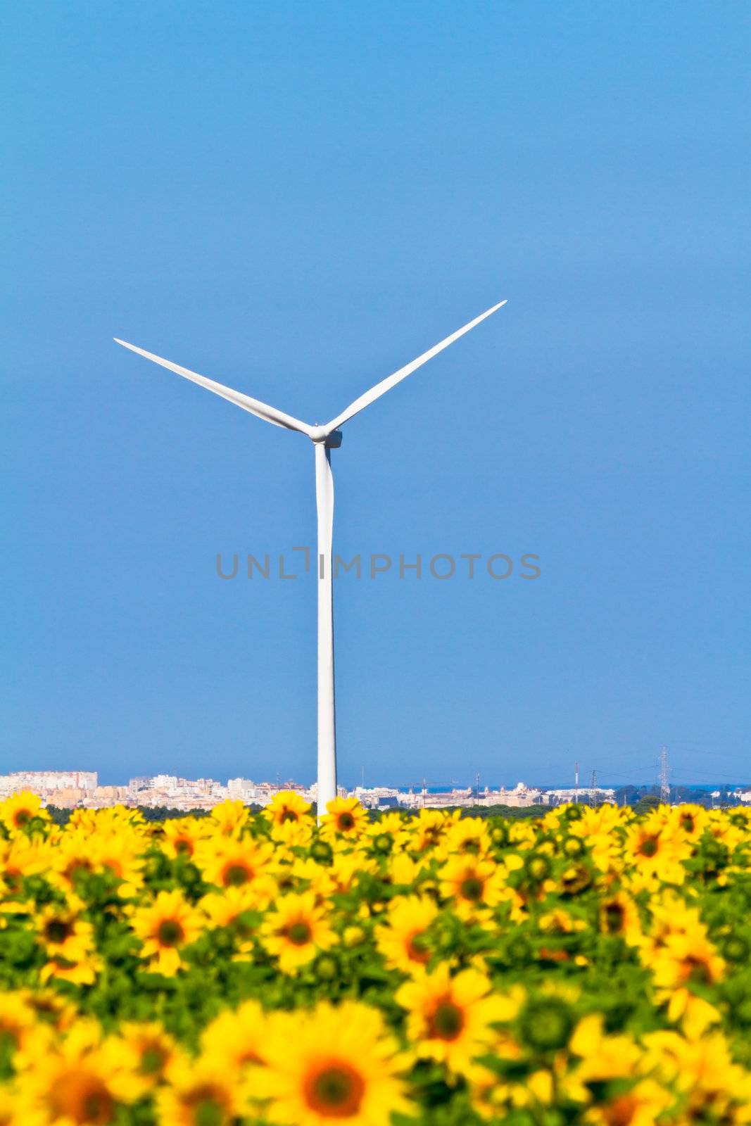 Windmills and sunflowers by viledevil