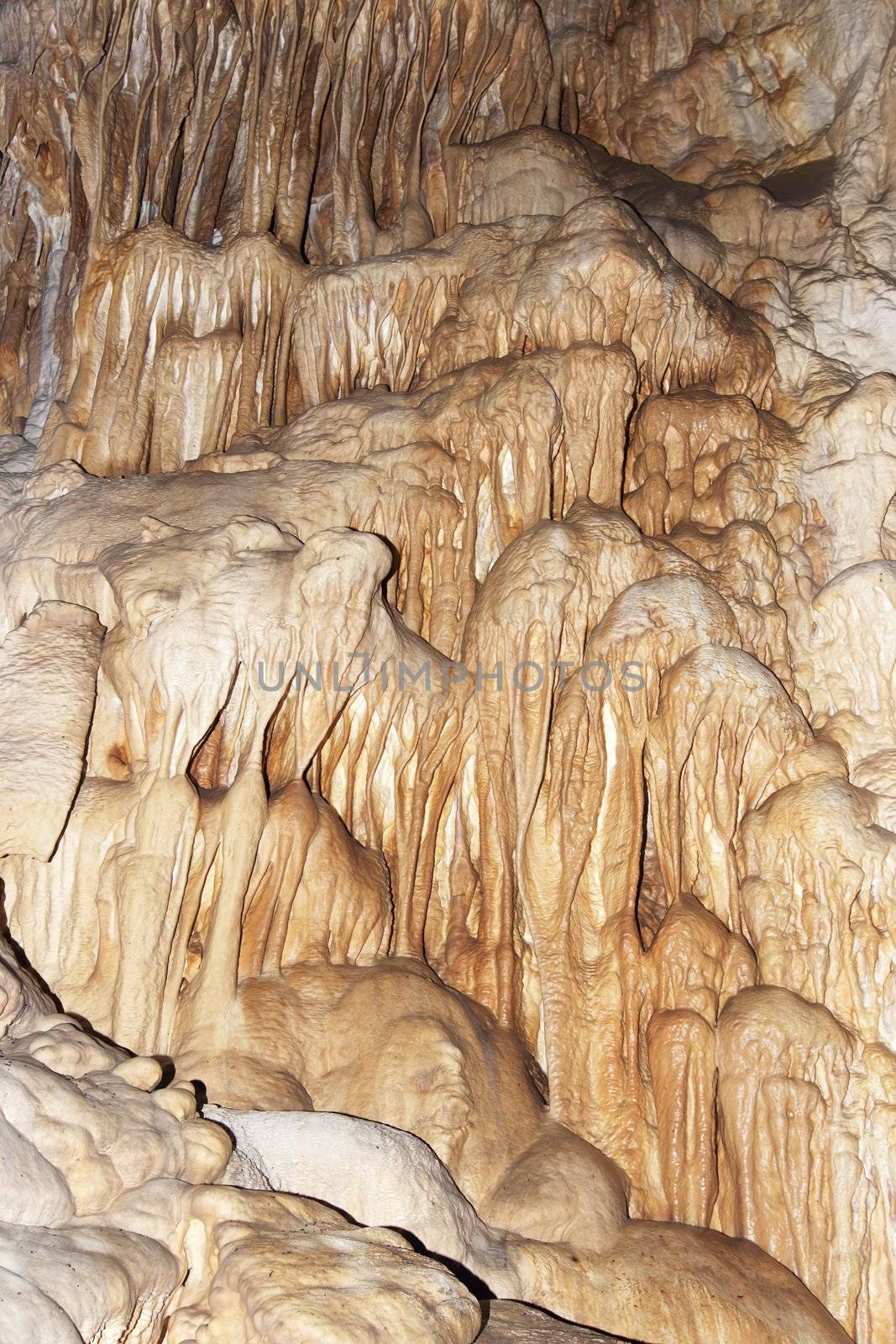 Javorice caves are located in central Moravia, about 10 miles west of Litovel city. Underground cave system Javorice a complex of corridors, domes and divides. Cave excel beautiful stalactite formations.
Javorice, Moravia, Czech republic.