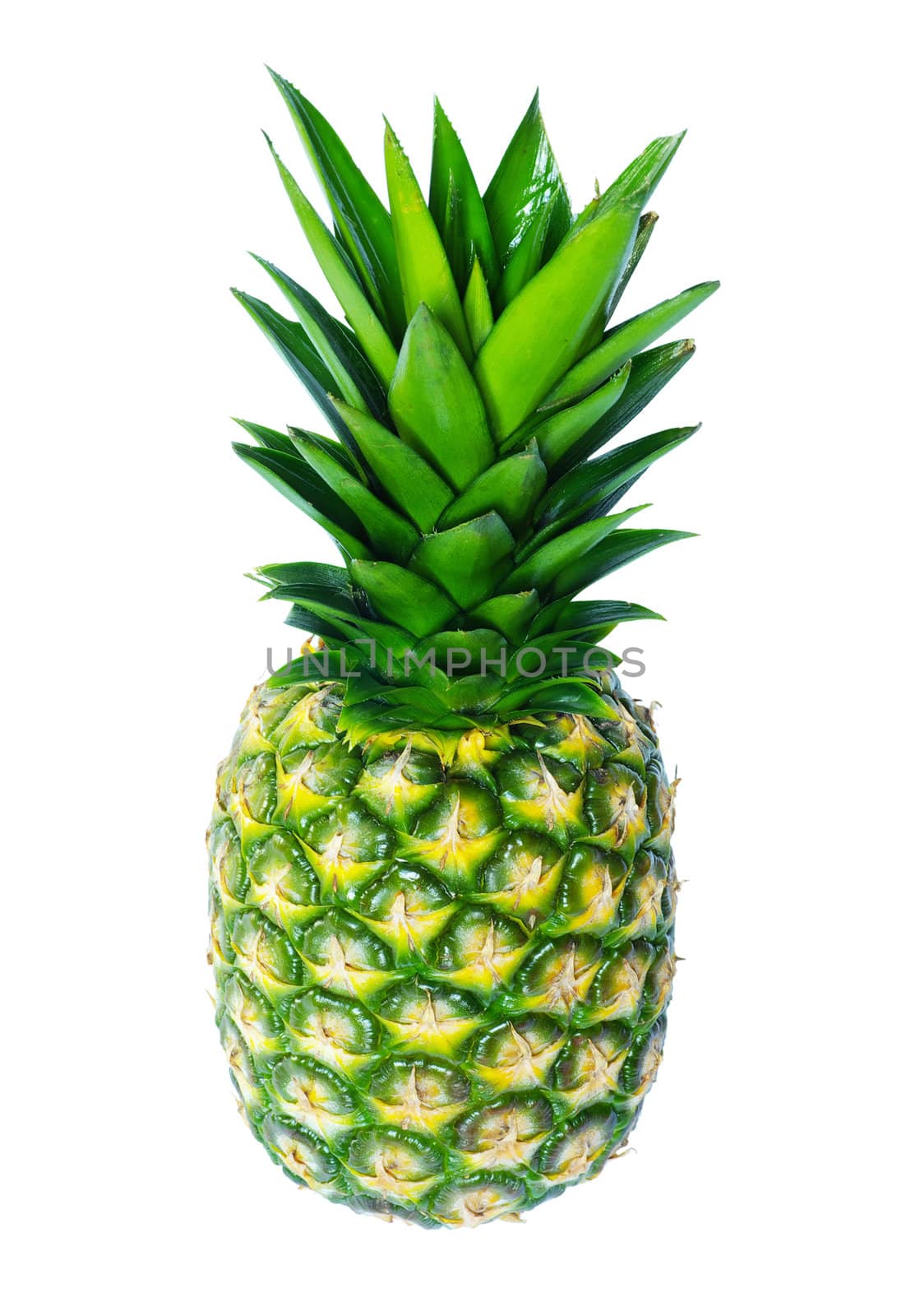 fresh pineapple isolated on the white background