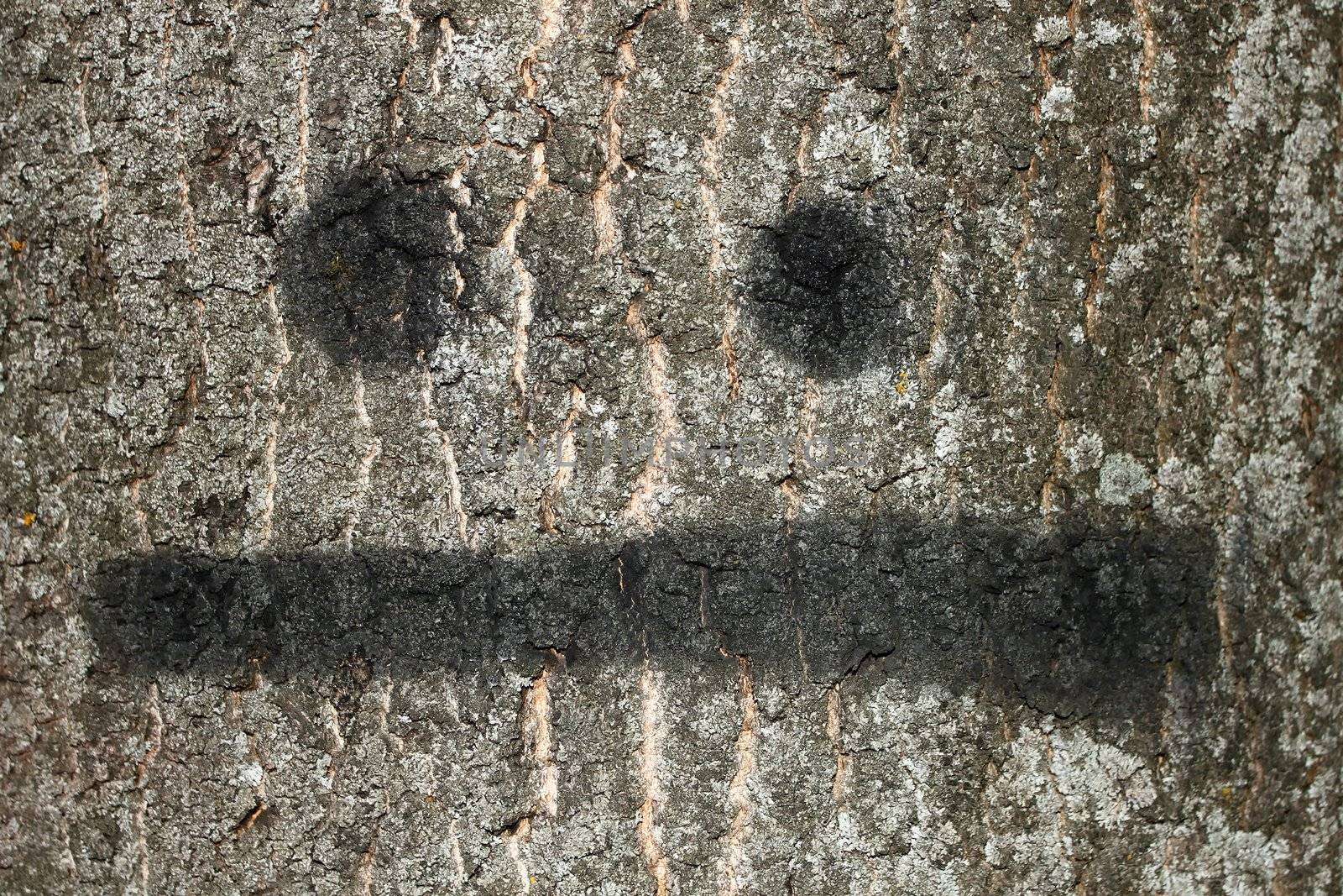 The bark of big old tree with painted smile