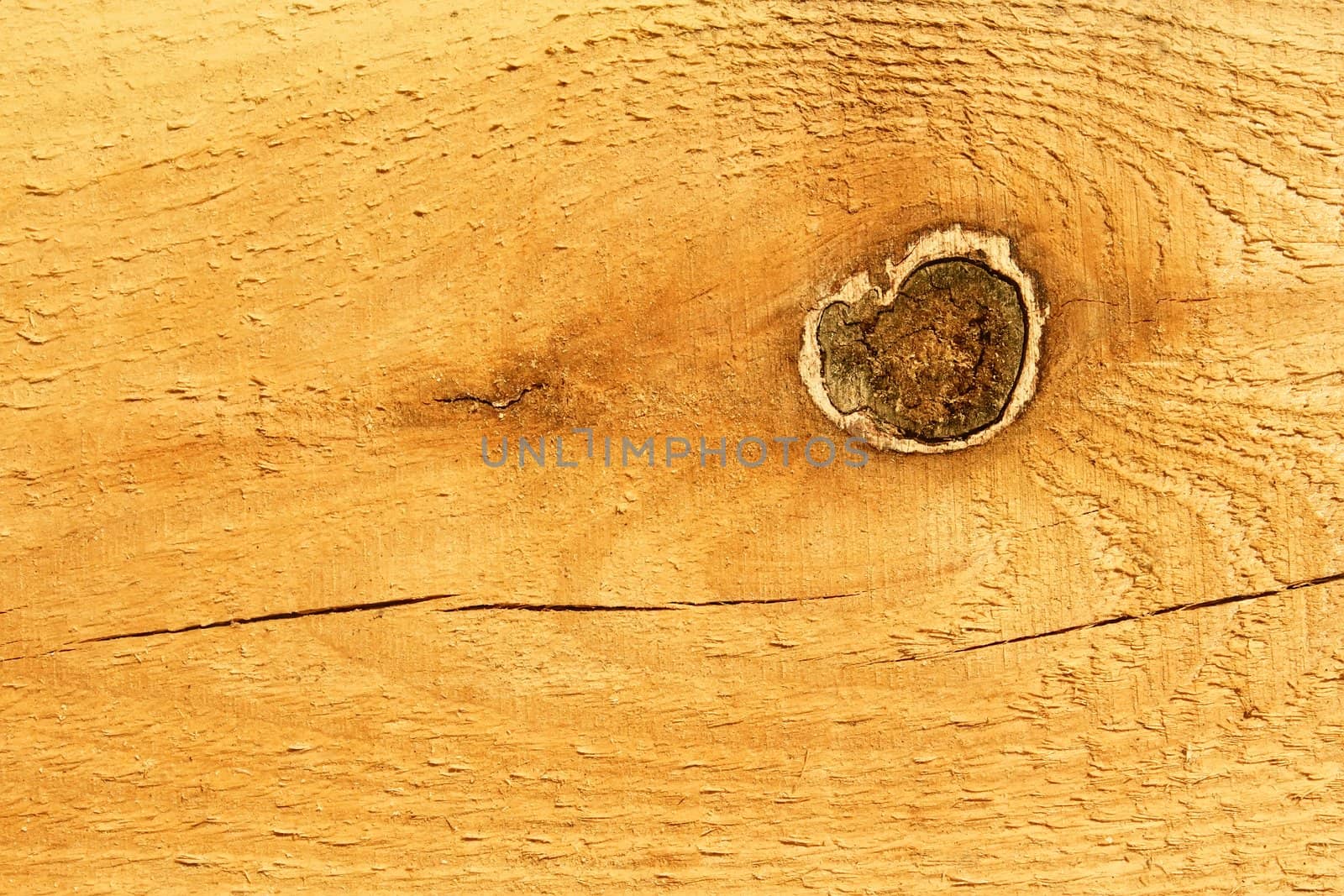 Knot on the fresh new wooden board on the bright sunlight