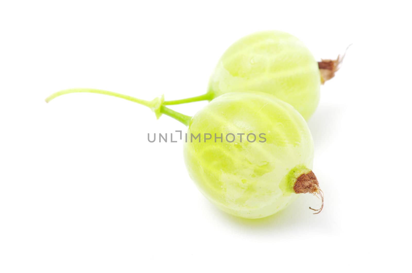 Green gooseberry fruit on white