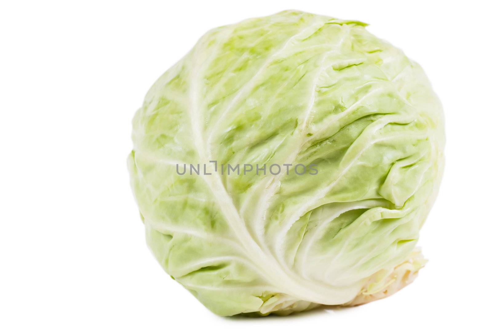 Cabbage by AGorohov