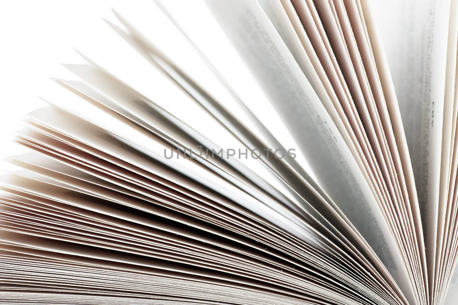 Open book isolated over white background
