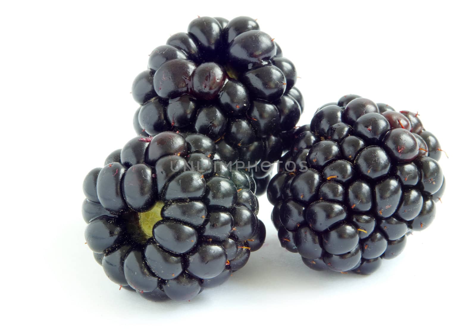 blackberry isolated on white background