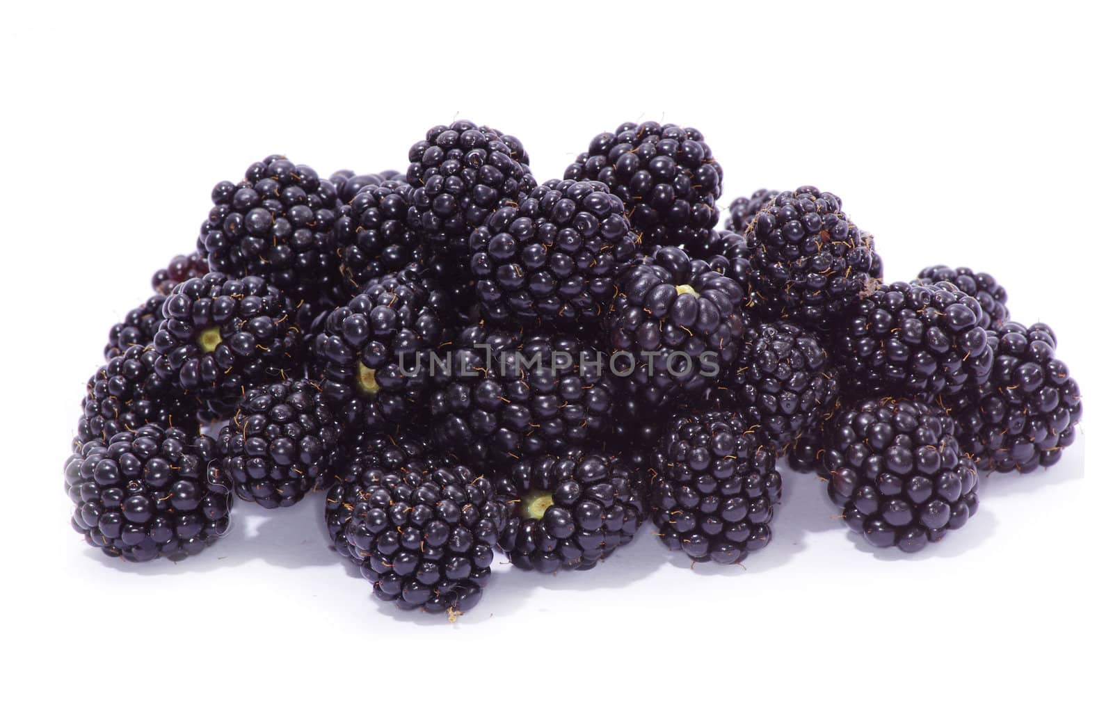 blackberry isolated on a white background