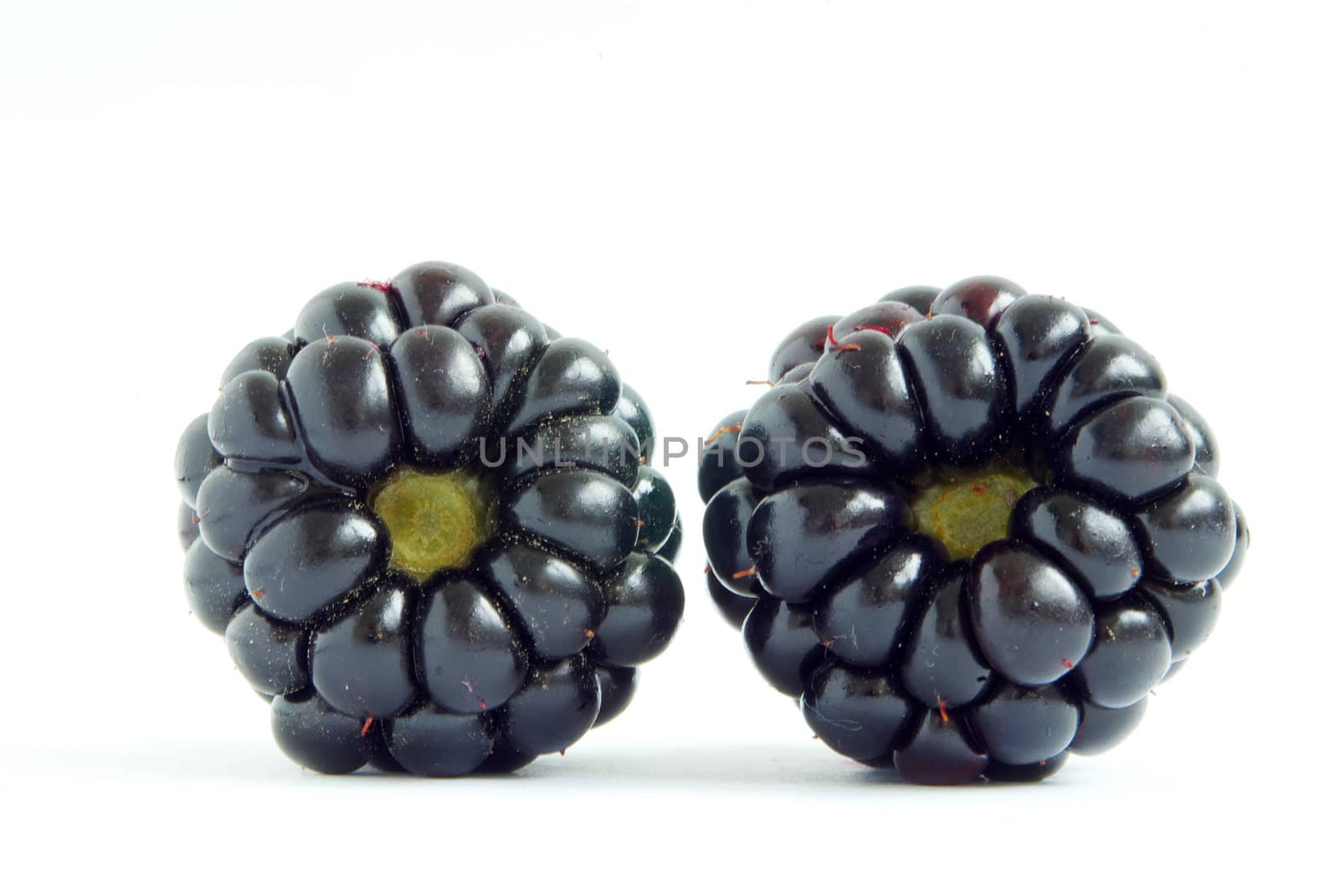 blackberry isolated on white background