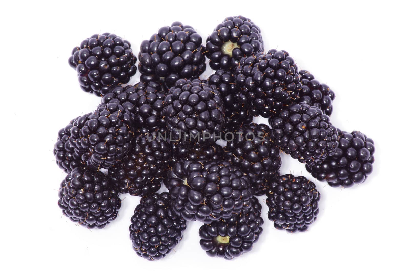 blackberry isolated on a white background