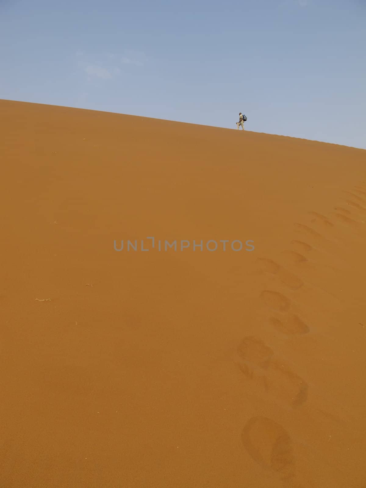 Sand Dune & Oli Namib-Nauktuft National Park Namibia