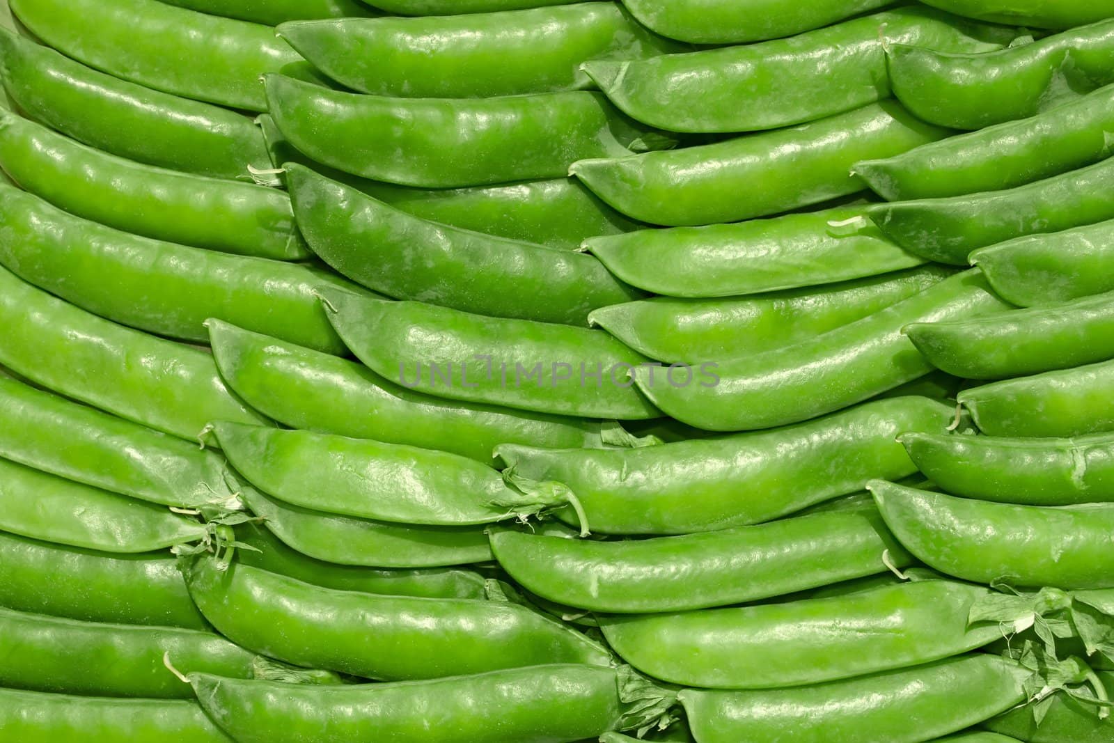 Young green pea pods by qiiip