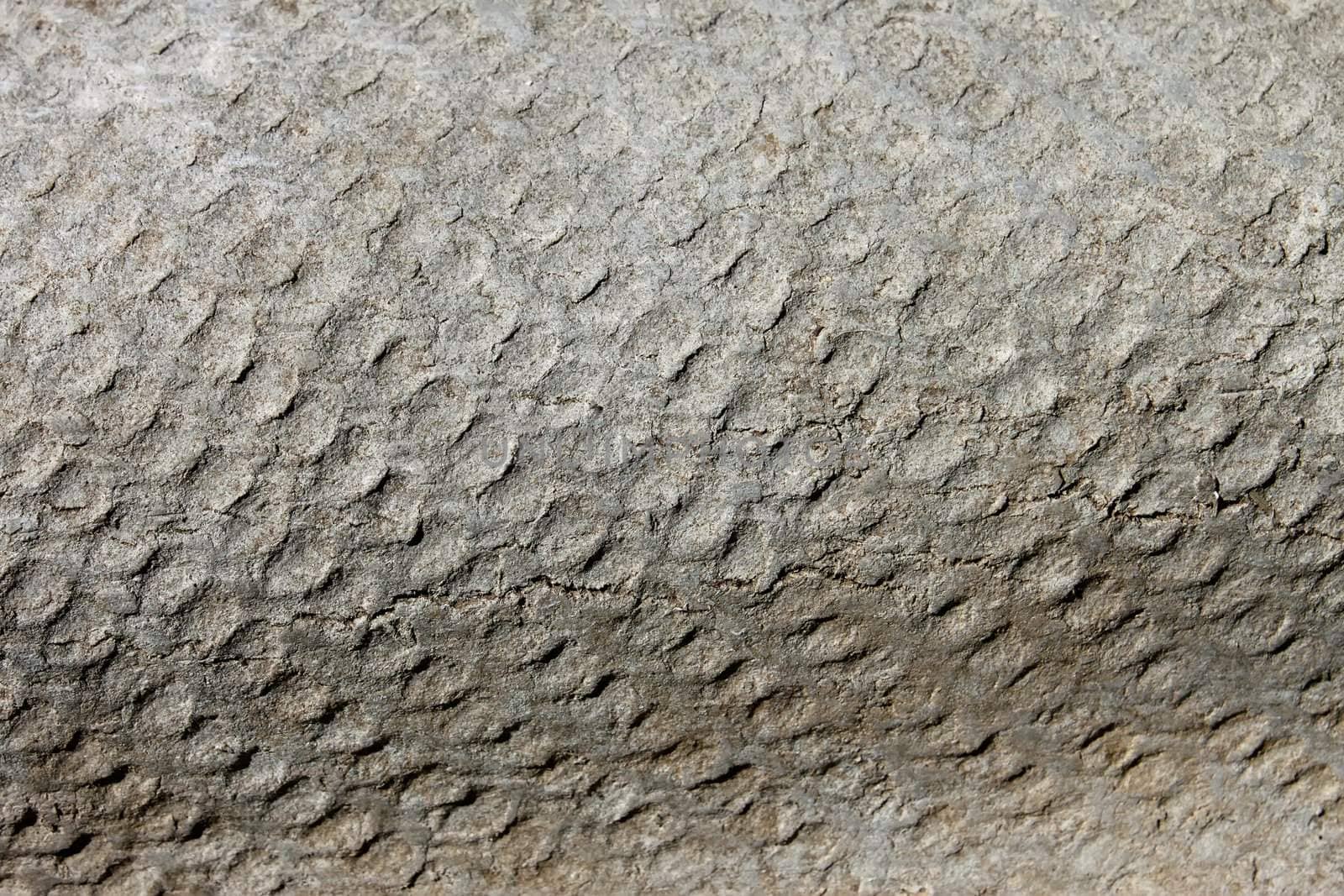 A fragment of old roofing slate. Macro photo