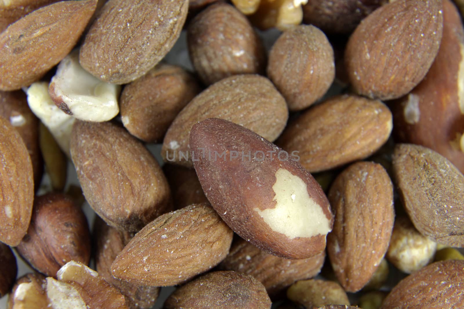 A close-up of mixed nuts, featuring walnuts, almonds, hazelnuts, and brazil nuts.
