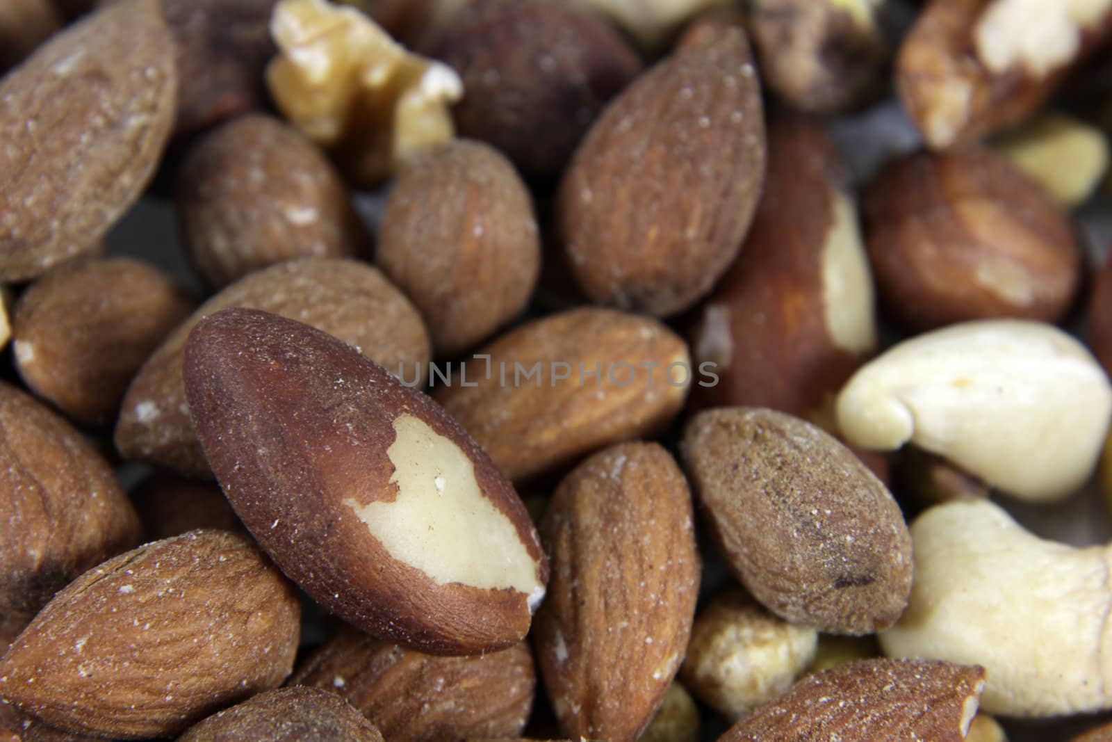 A close-up of mixed nuts, featuring walnuts, almonds, hazelnuts, and brazil nuts.
