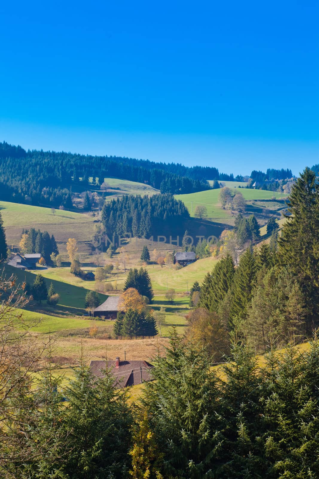 Farmland, farmhouses and forested hills in Black Forest, rural Germany.