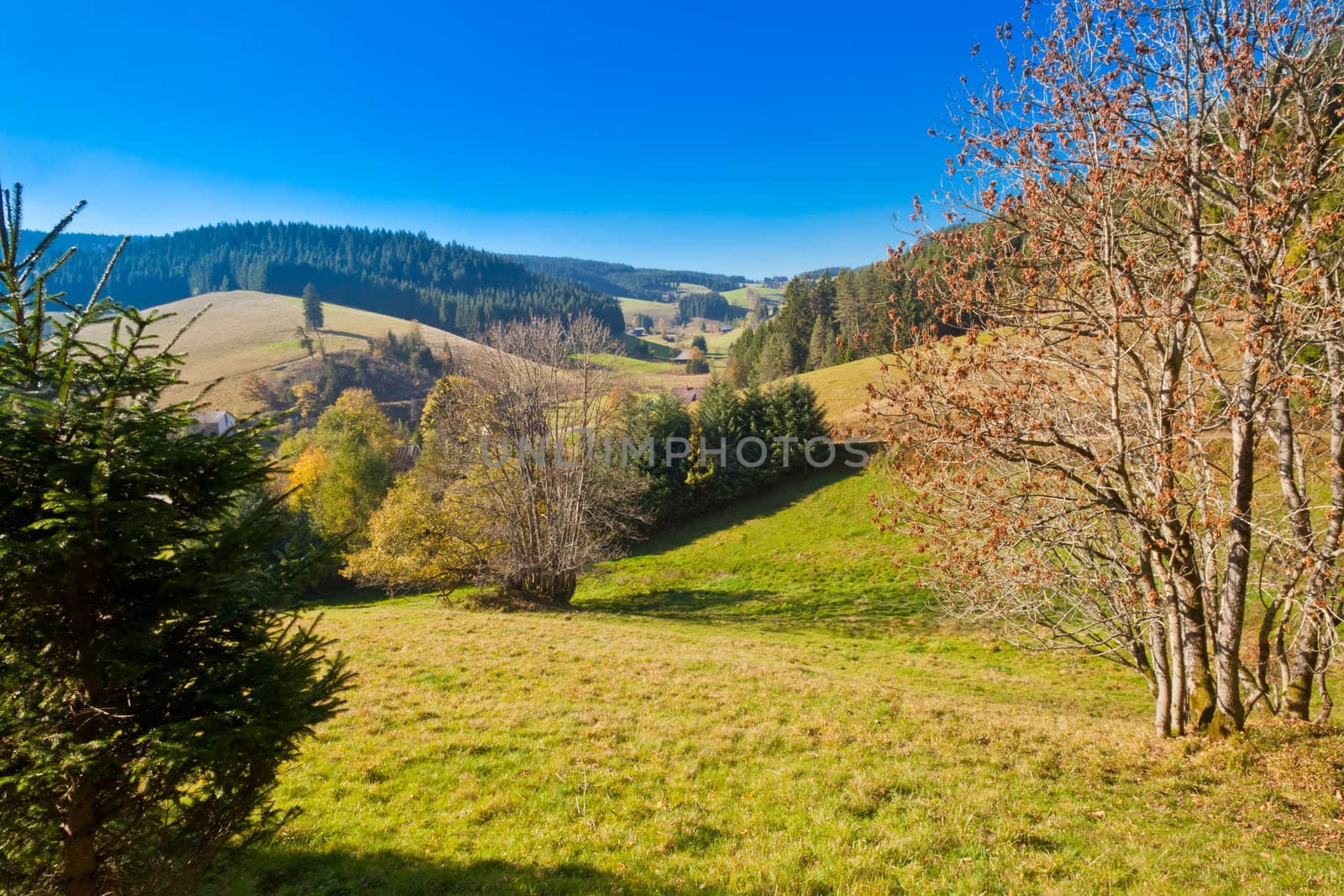 Farmland, farmhouses and forested hills in Black Forest, rural Germany.