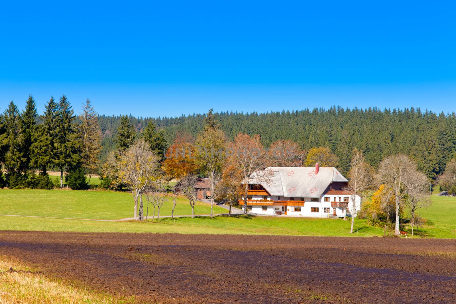 Traditional style farmhouse architecture in Black Forest, rural Germany