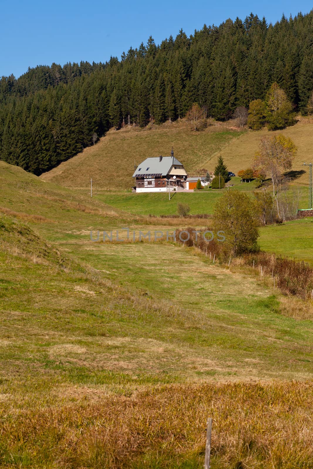 Farmland, historic farmhouse and forested hills in Black Forest, rural Germany.