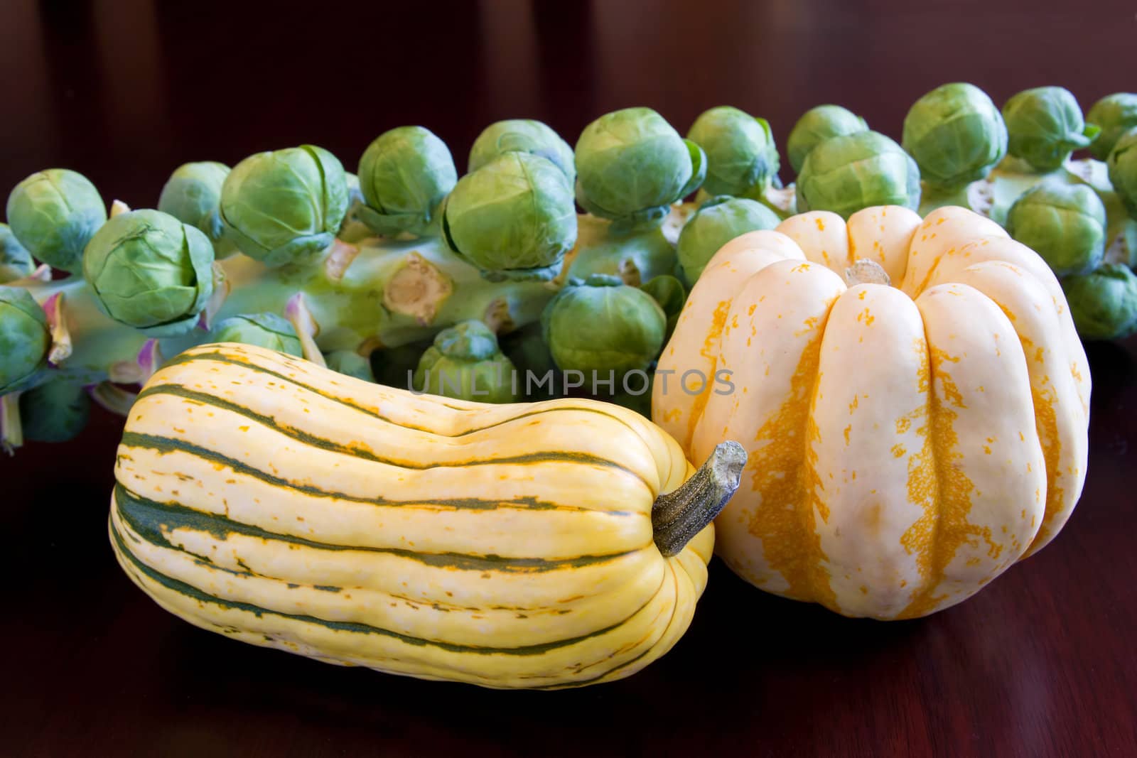 Brussels Sprouts with Sweet Dumpling and Delicata Squash Still Life