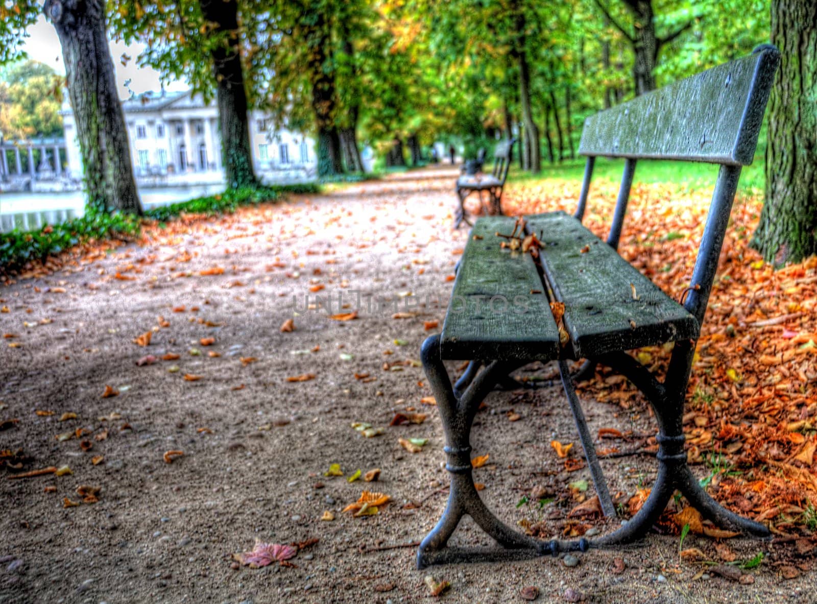 empty bench in lazienki park, warsaw, poland by arnelsr