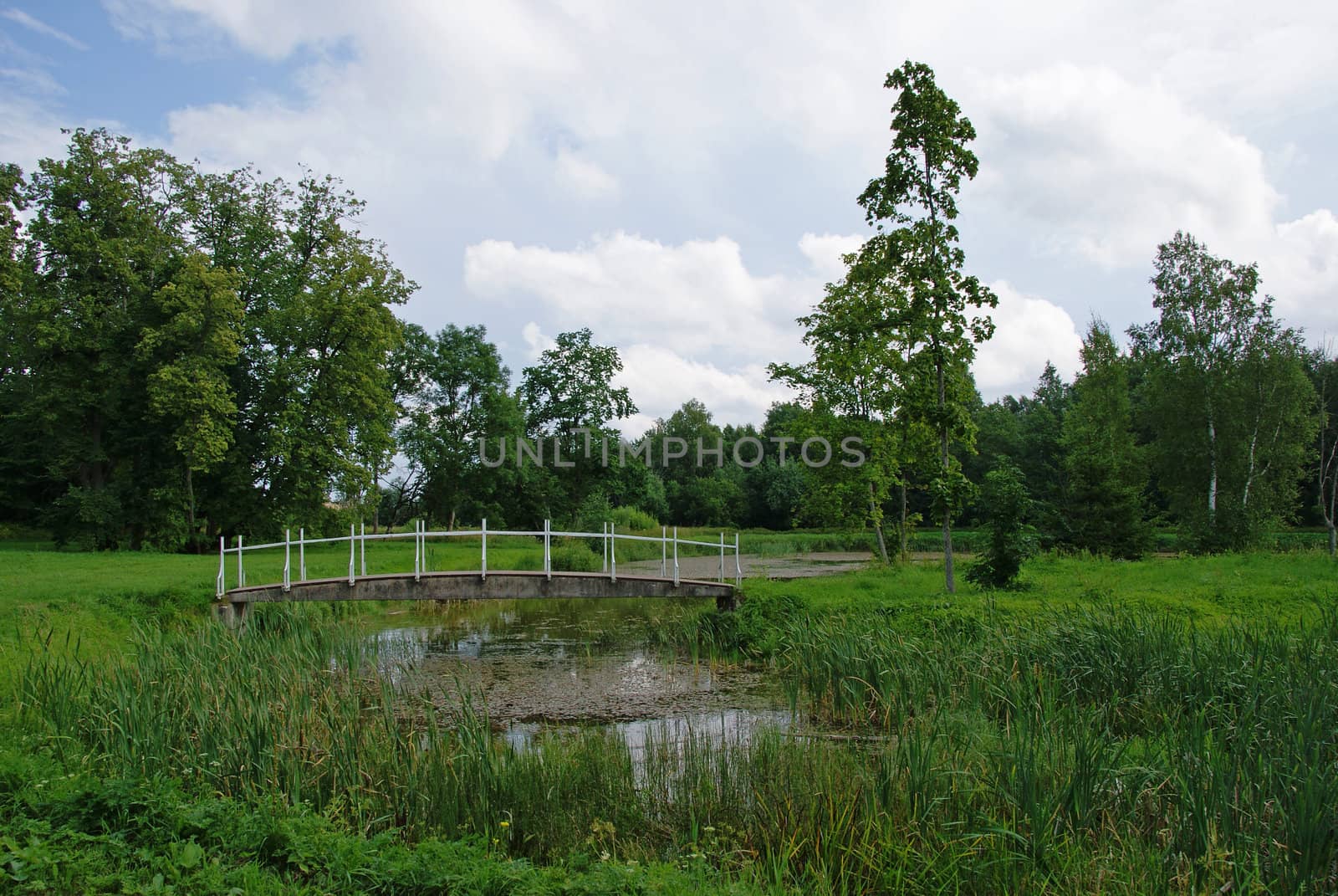 The small bridge through a pond on a background of a grass and trees