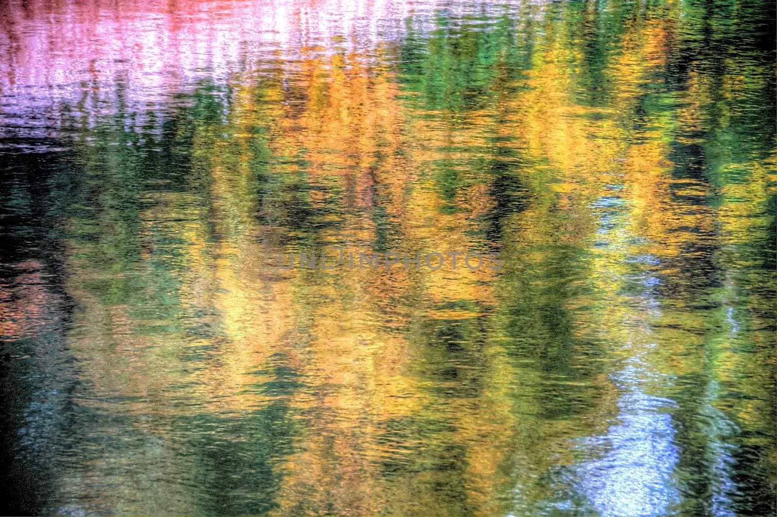 reflection of autumn trees in lazienki park, warsaw, poland