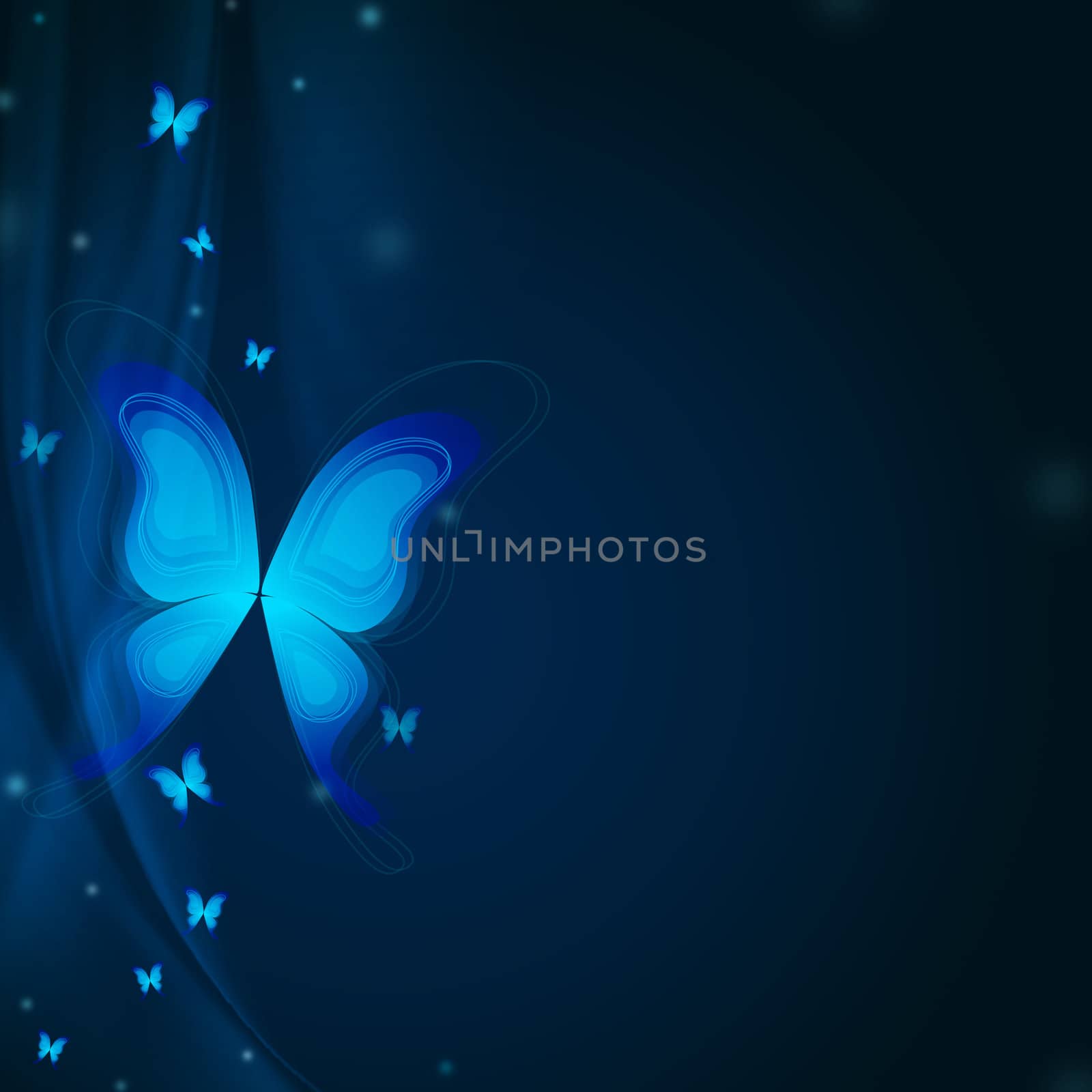 blue butterflies by marinini