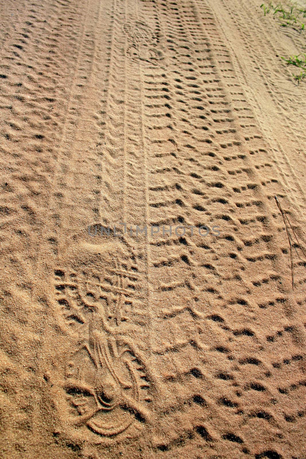 Footprints walking in the sand into the distance