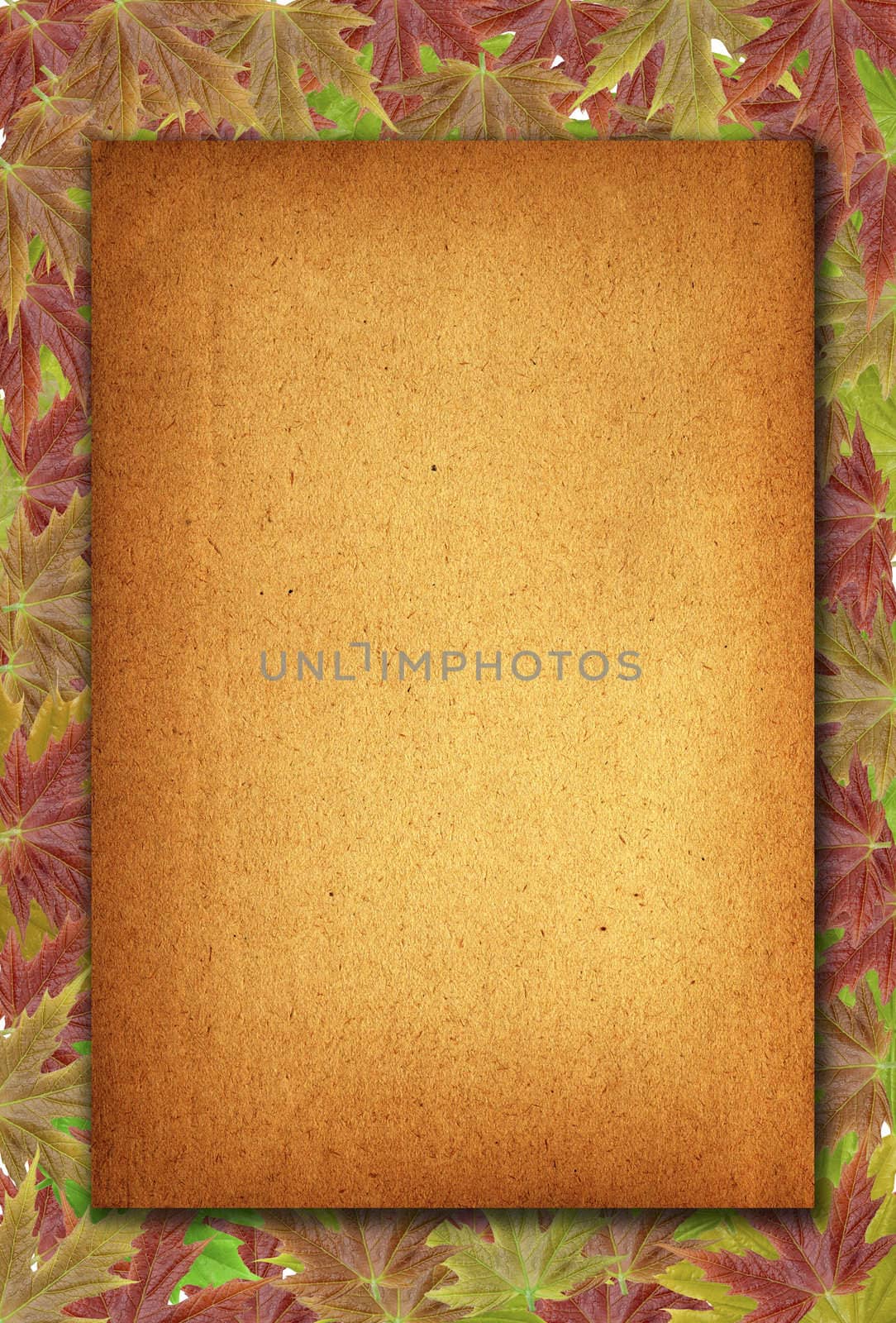 autumn background with blank old paper and leaves  by rufous