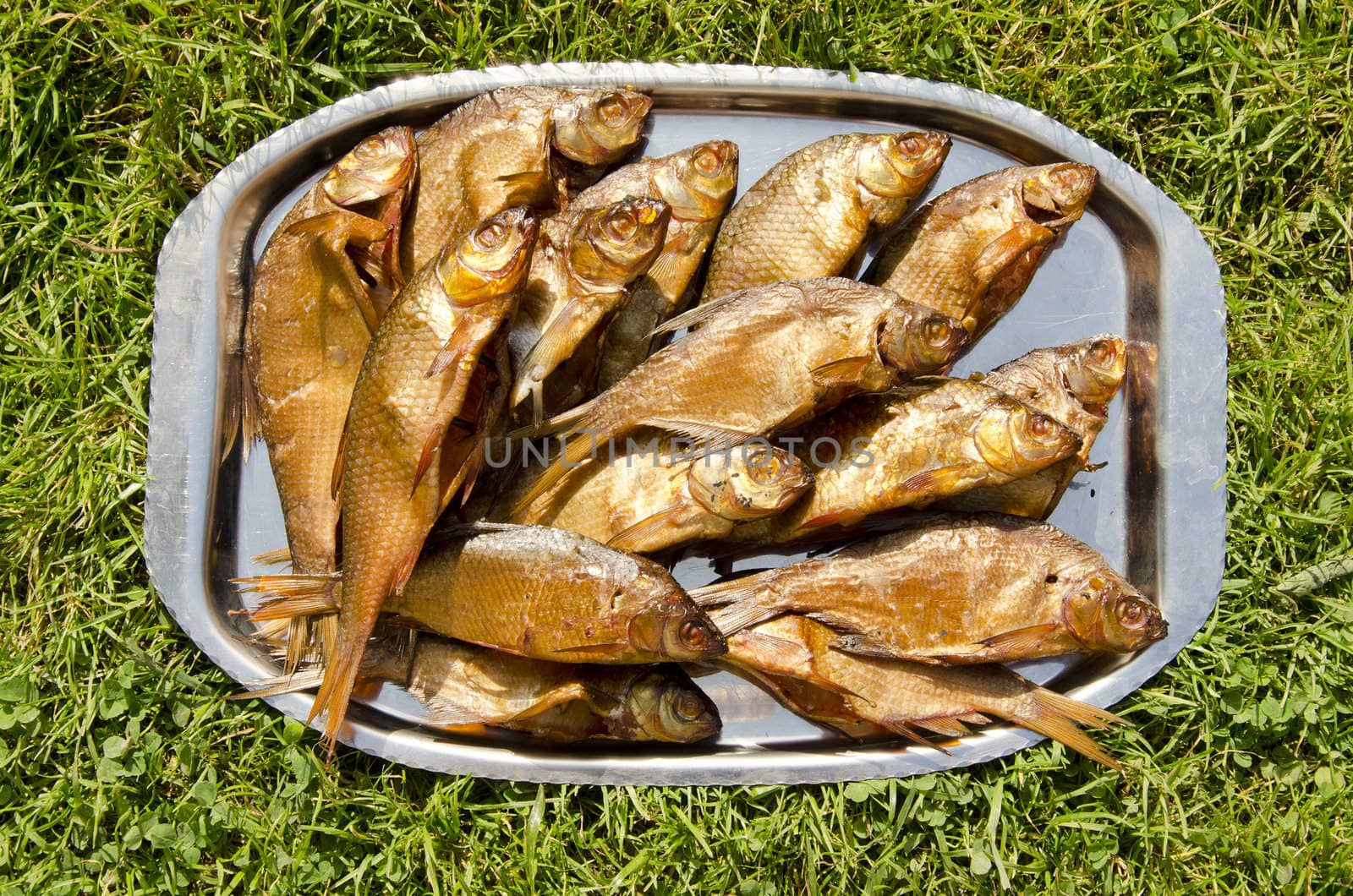 Metal tray loaded with freshly bloated fish.