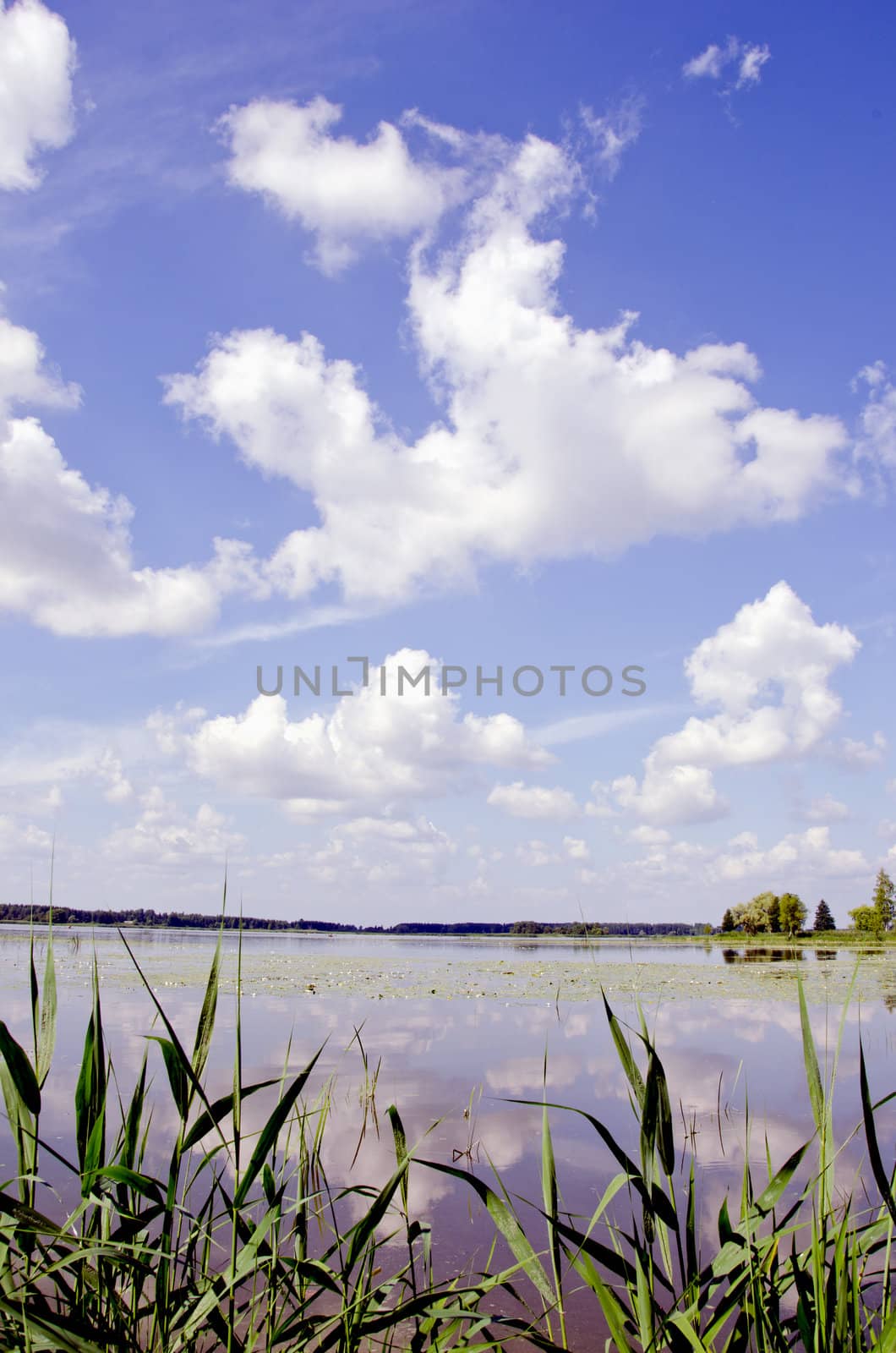 Beautiful view of summer lake and sky in sunny day.