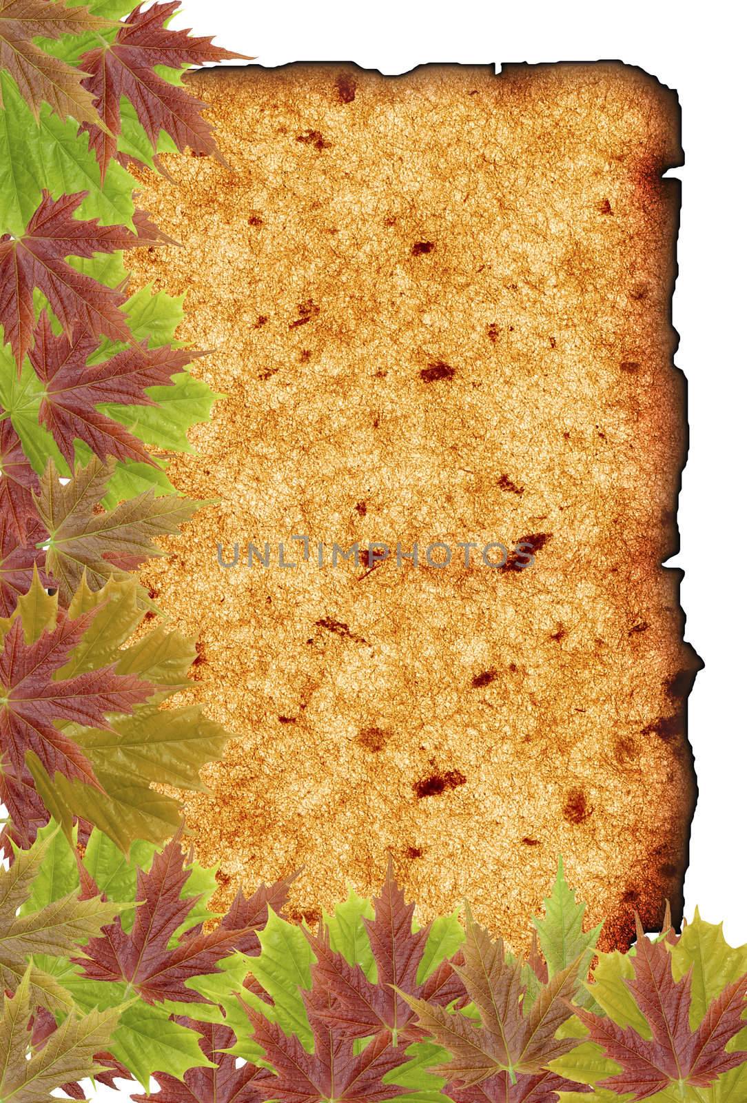 autumn background with blank old paper and leaves  by rufous