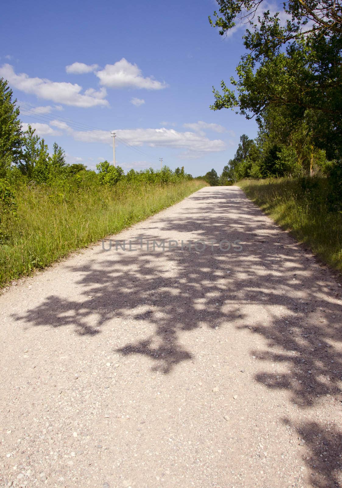 A road in the countryside - spring and early summer