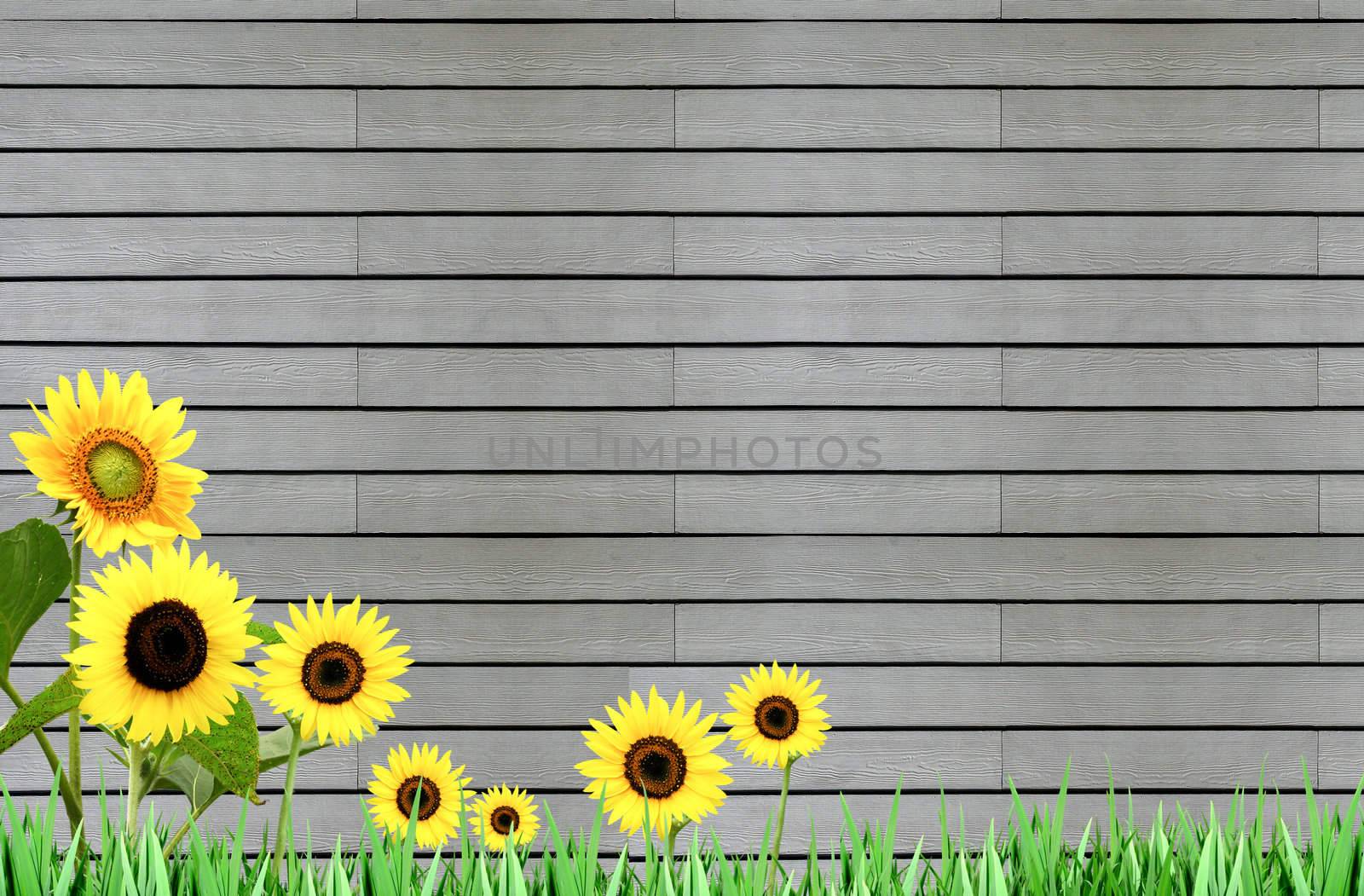Wood and Grass for background and text