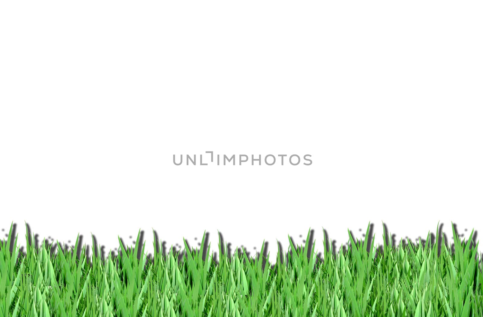 green grass on a white isolated background