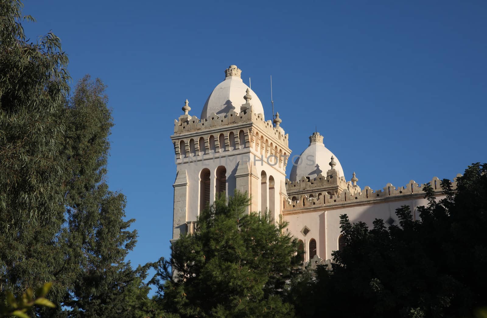 Tunisia. Carthage. Byrsa hill - Saint Louis cathedral