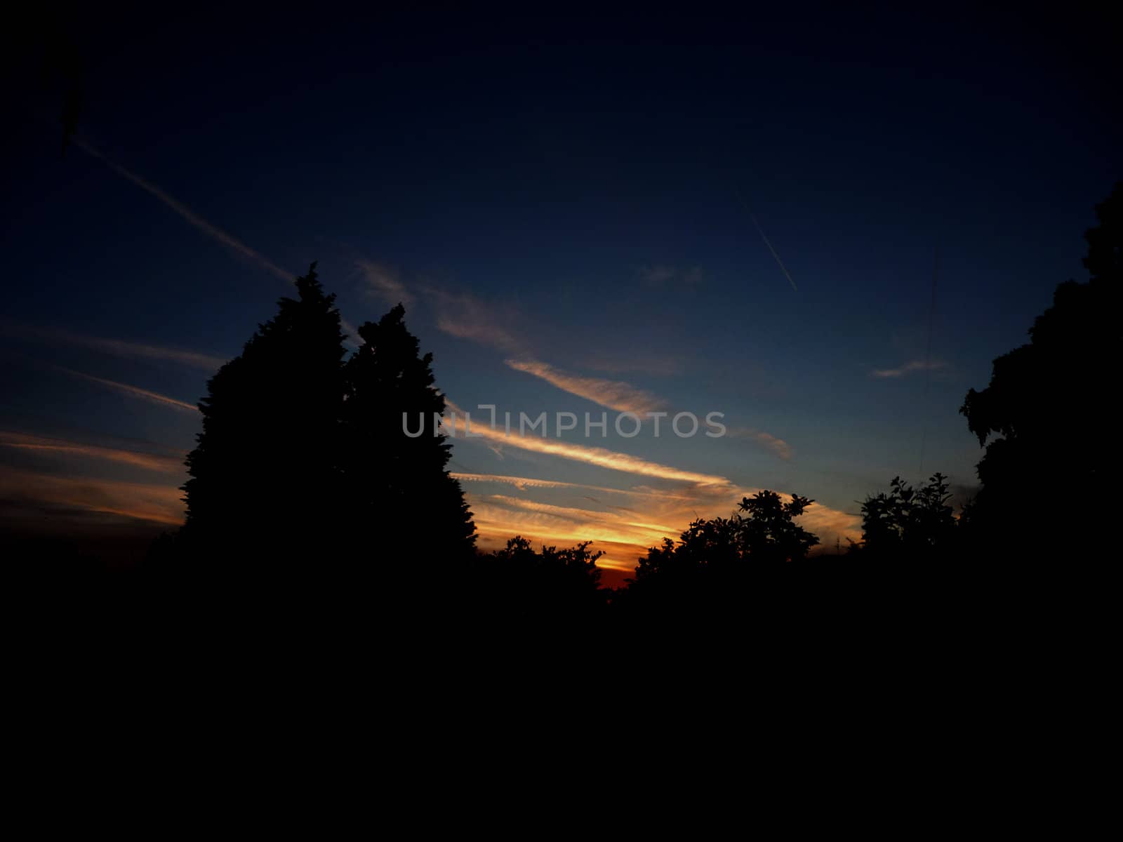 A view of the sky with a tree silhouette foreground.

